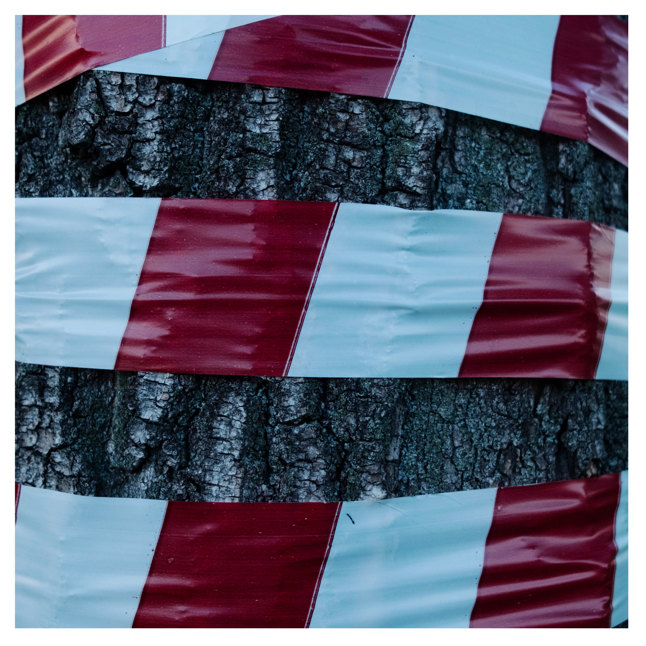 Геометрия, разное. Портретный фотограф в Москве Евгения Яковенко