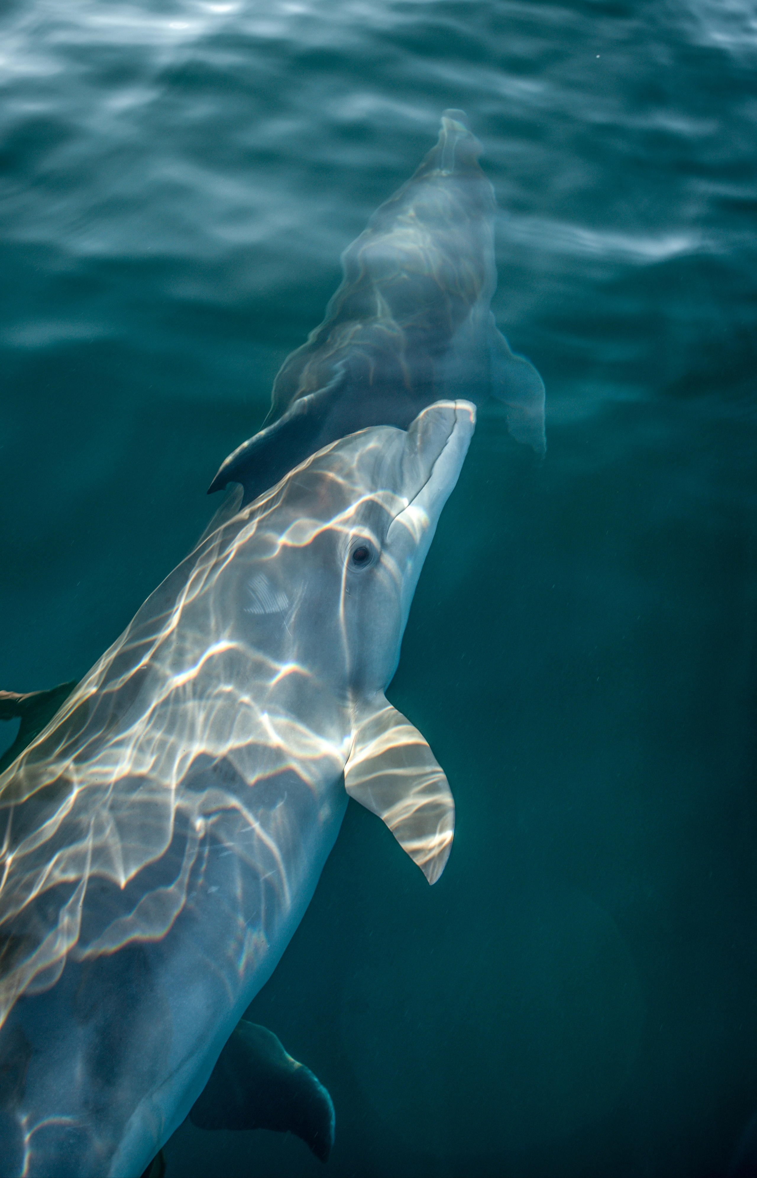 Wild and free. Anastasia Serdyuk, travel photographer, travel photo, portraits, stories, fineart prints