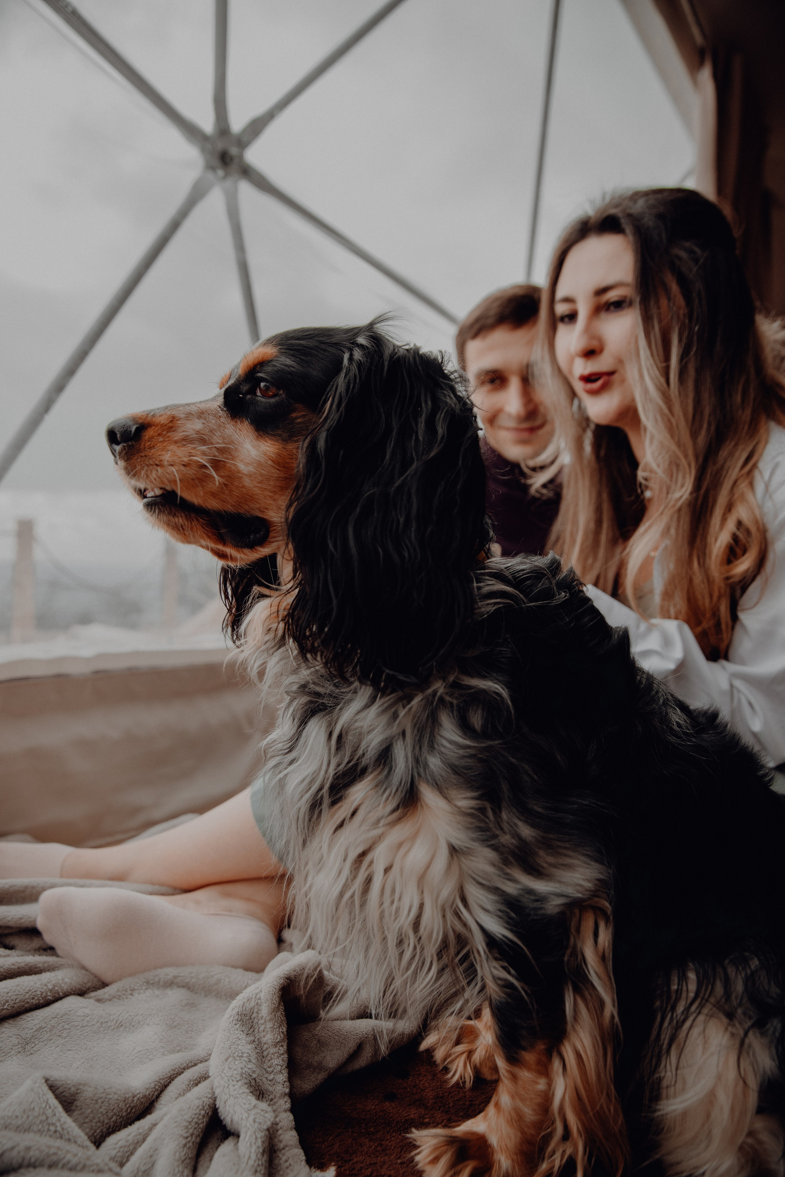 Ася ღ Заур. Портфолио