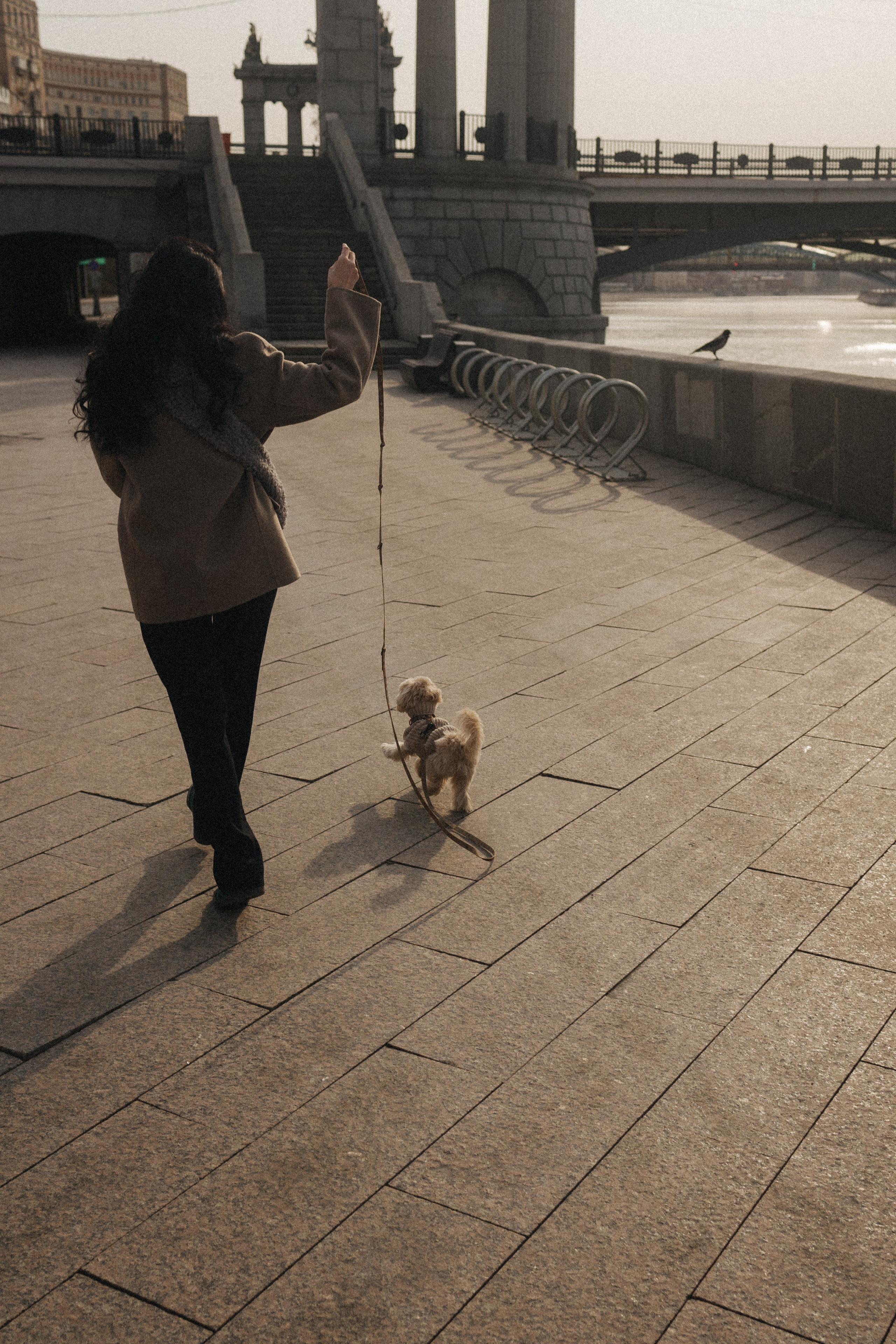Маша, Лиза и Луна. Фотораф — анималист Мария Шистка