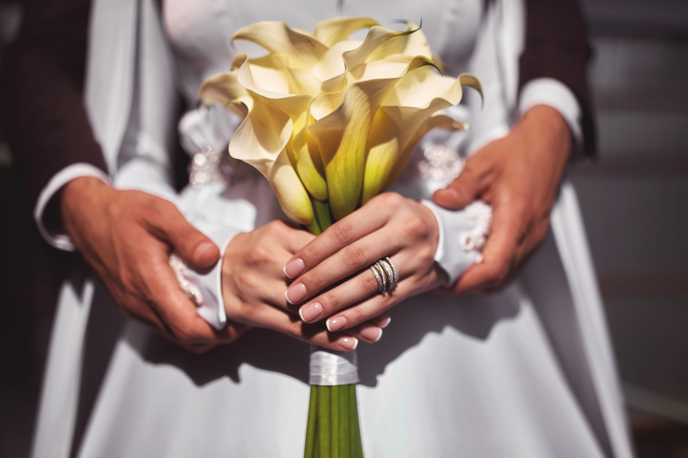 Свадебный и семейный фотограф в Воронеже Алексей Мешалкин