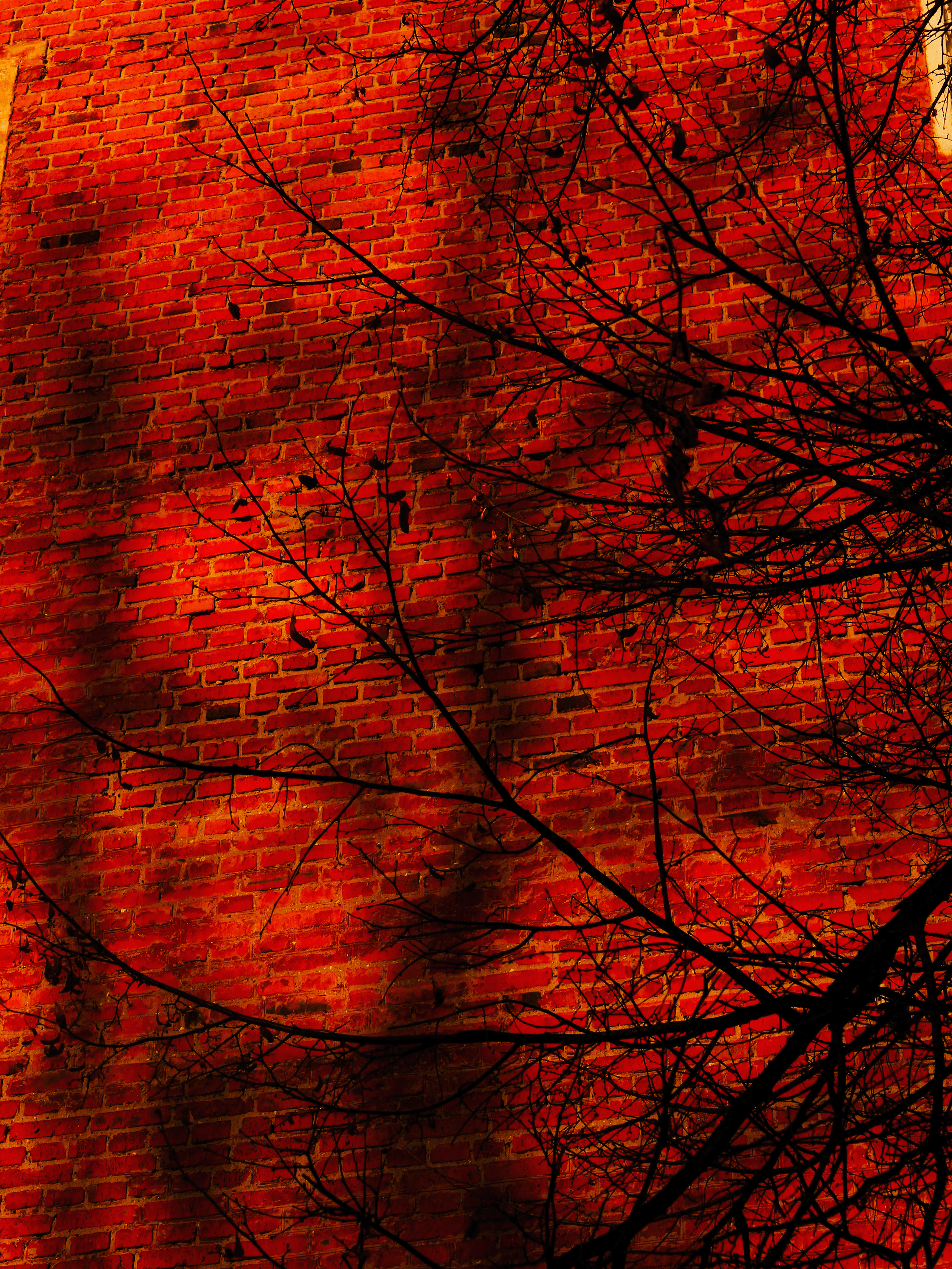 Shades of autumn. Фотограф/дизайнер в Екатеринбурге Хитрый Дмитрий