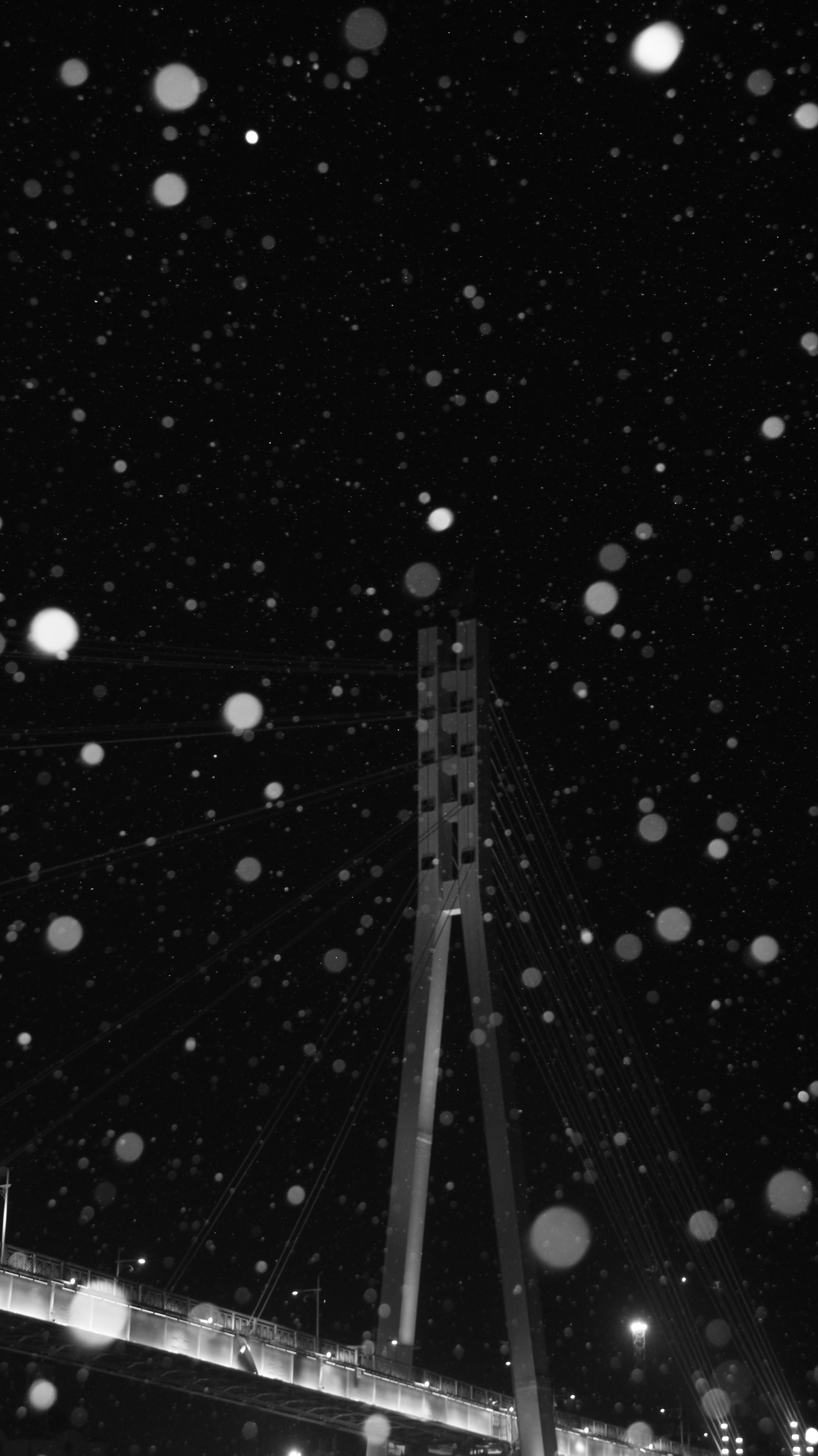 TMN winter '25 (wb). Фотограф/дизайнер в Екатеринбурге Хитрый Дмитрий