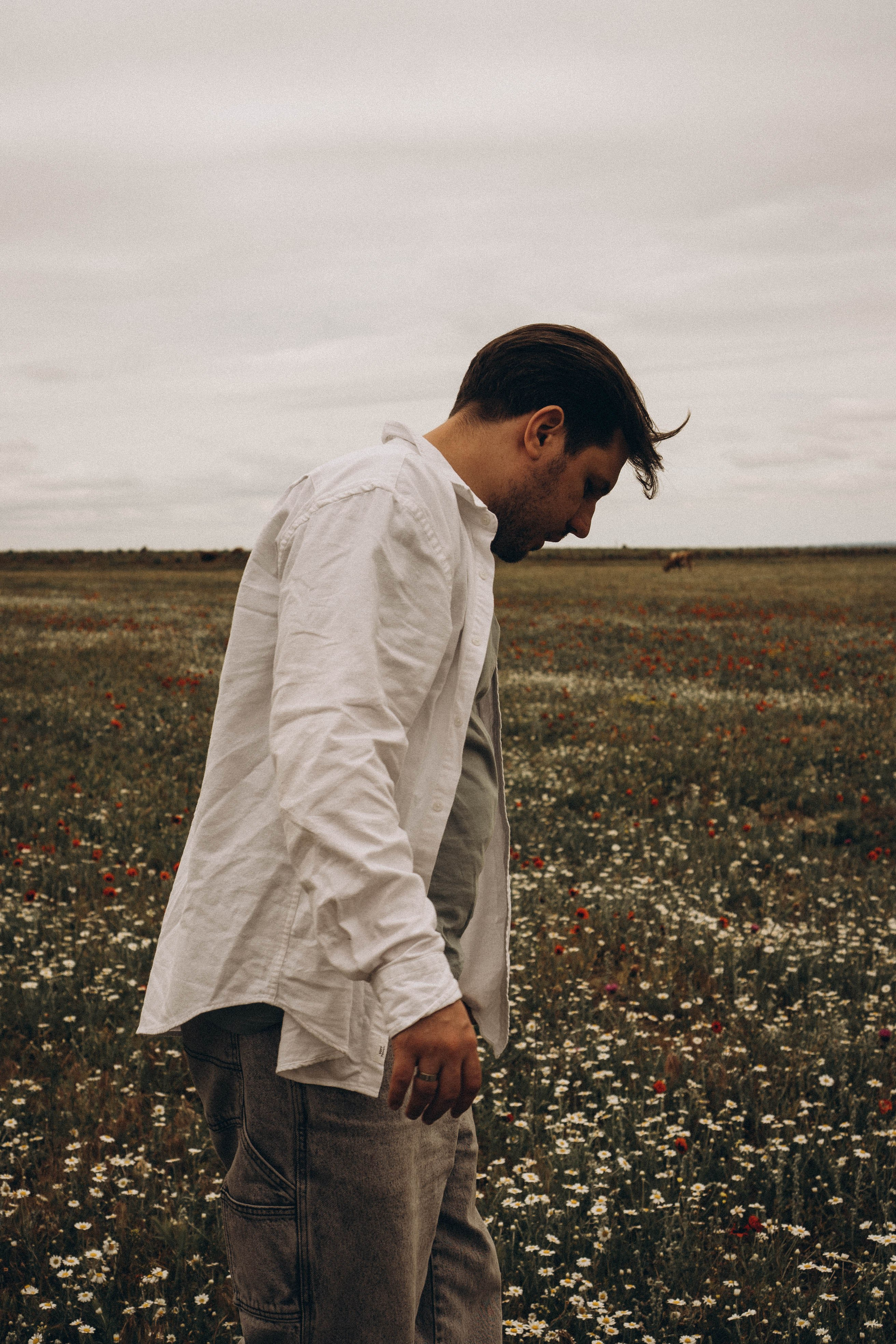 Маки. Профессиональный фотограф, Санкт-Петербург — Виктория Богомолова