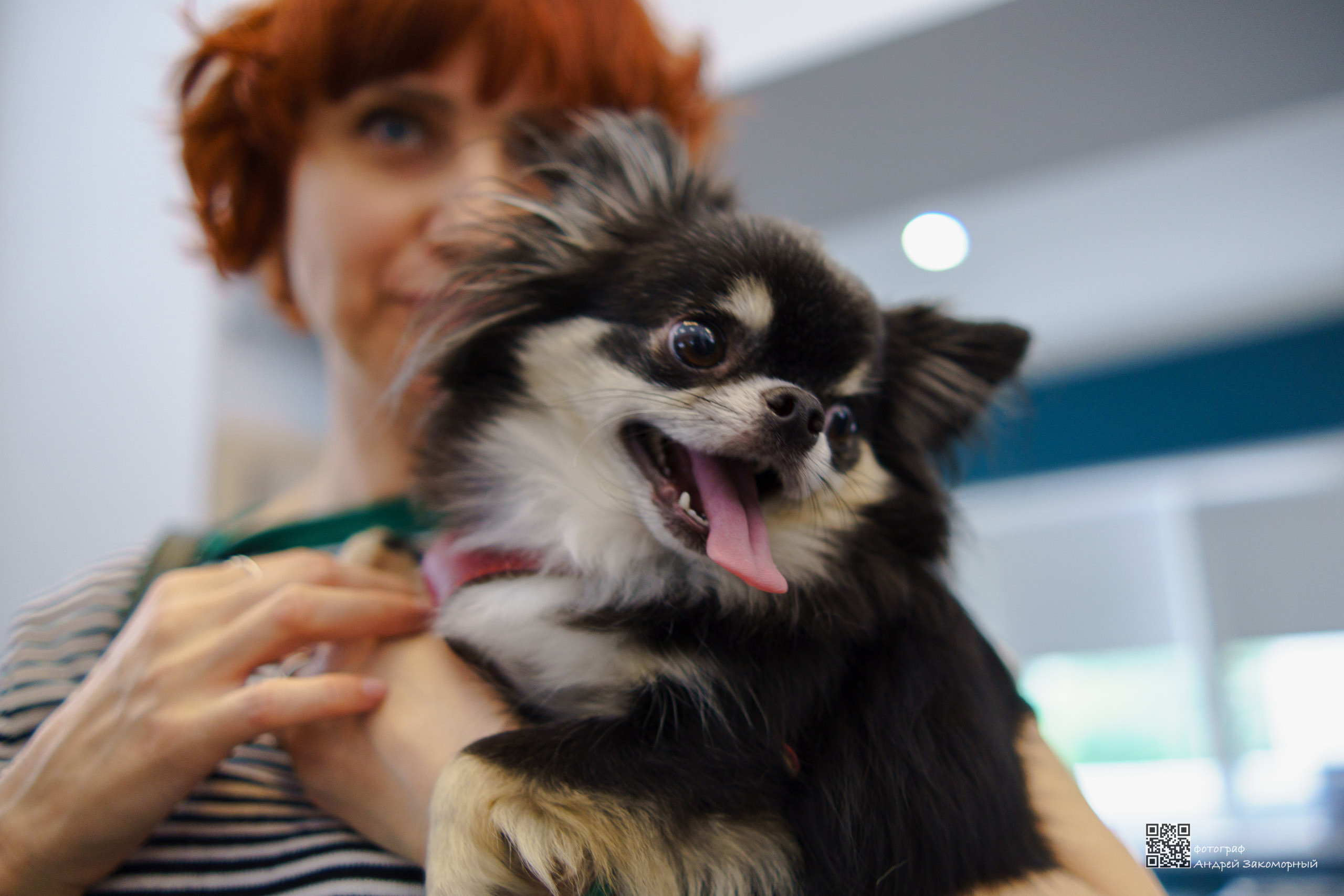 Репортажная фотосъёмка. Фотомастерская Андрея Закоморного