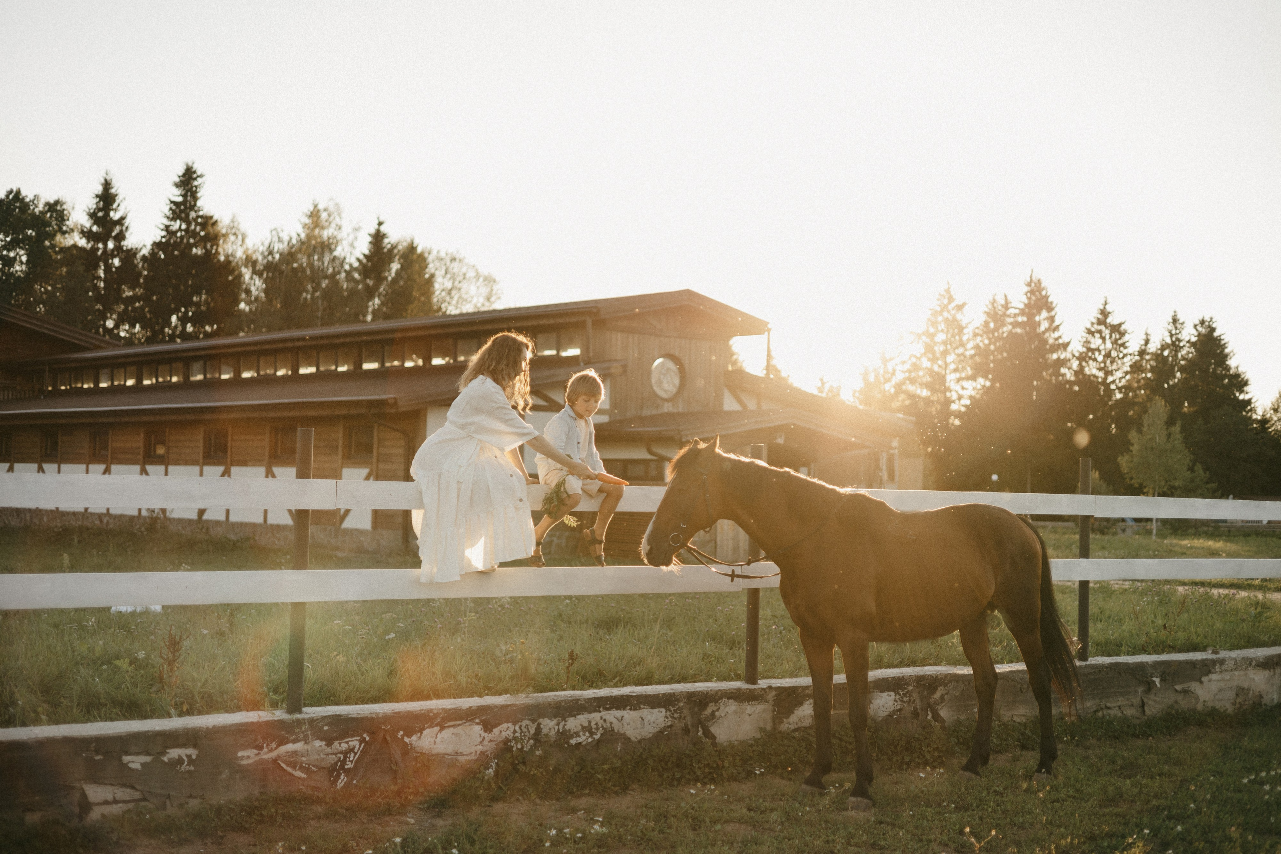 Семья. Варвара Синицына: семейный фотограф в Москве