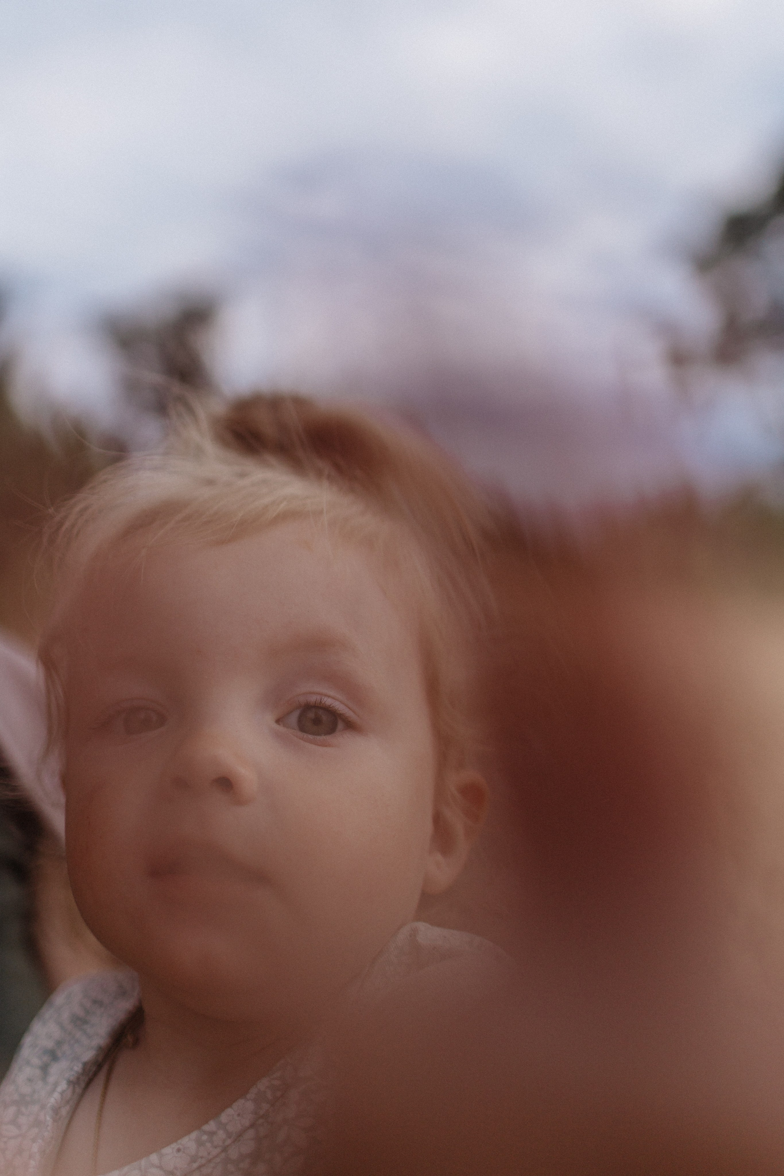 СЕМЕЙНАЯ / Гриша, Люда и Апполинария. Фотограф Лодейное Поле Екатерина Герасимова в Санкт-Петербурге и Лен. области