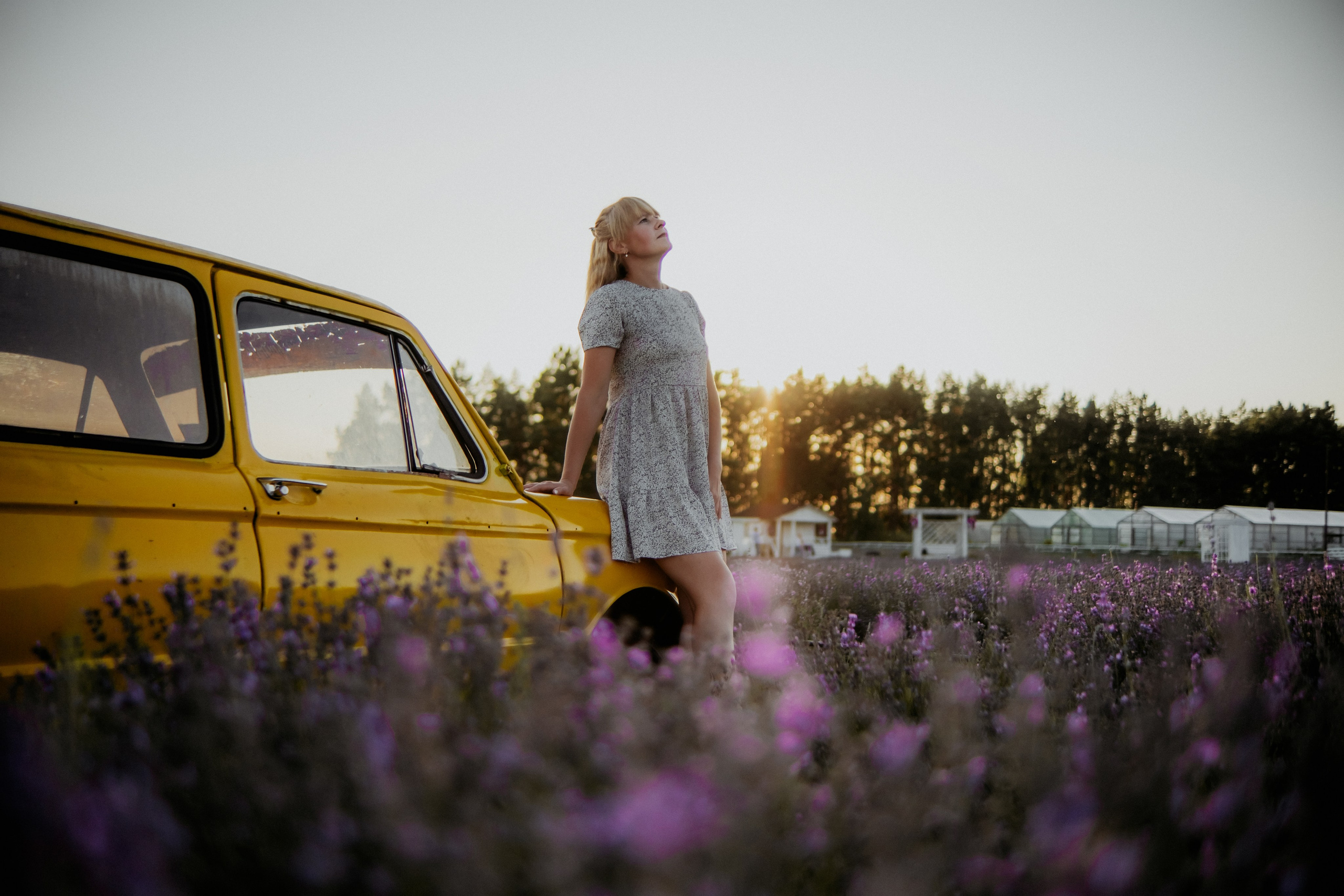 Семейная съемка в лованде. Nattie.ph