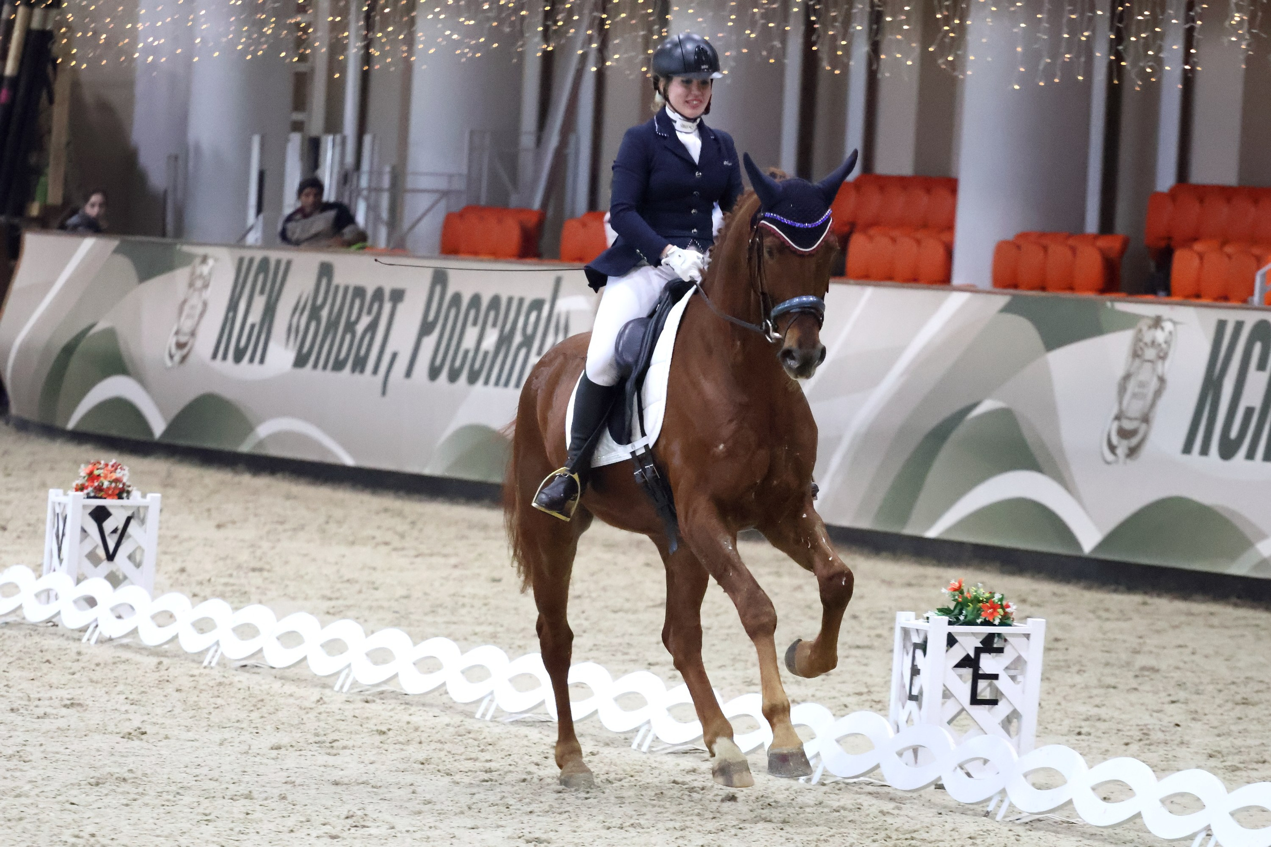 Соревнования по выездке КСК «Виват, Россия!». Спортивный и репортажный фотограф Ермакова Светлана