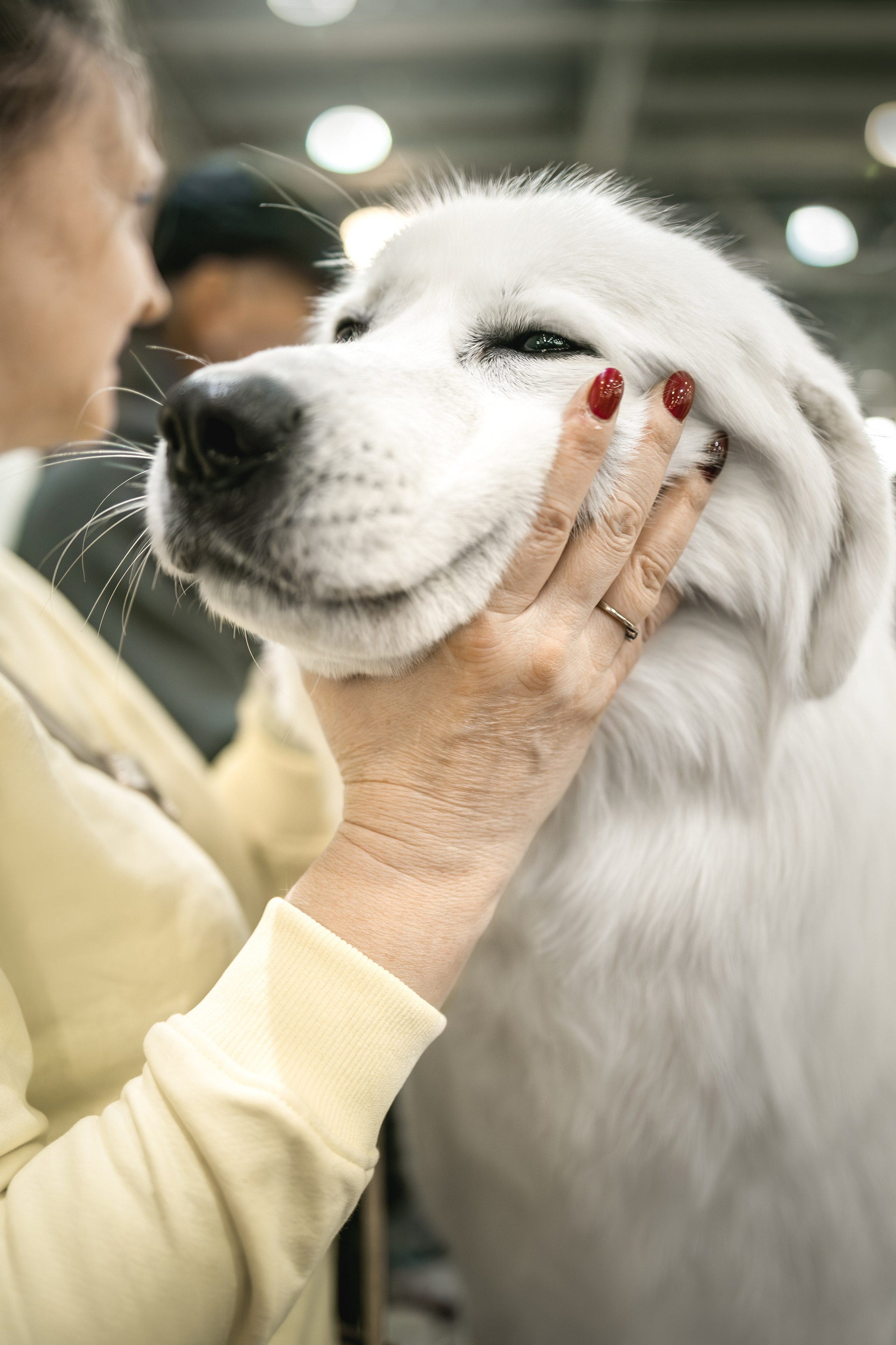 Евразия 2023. Фотограф анималист в Москве Майорова Евгения
