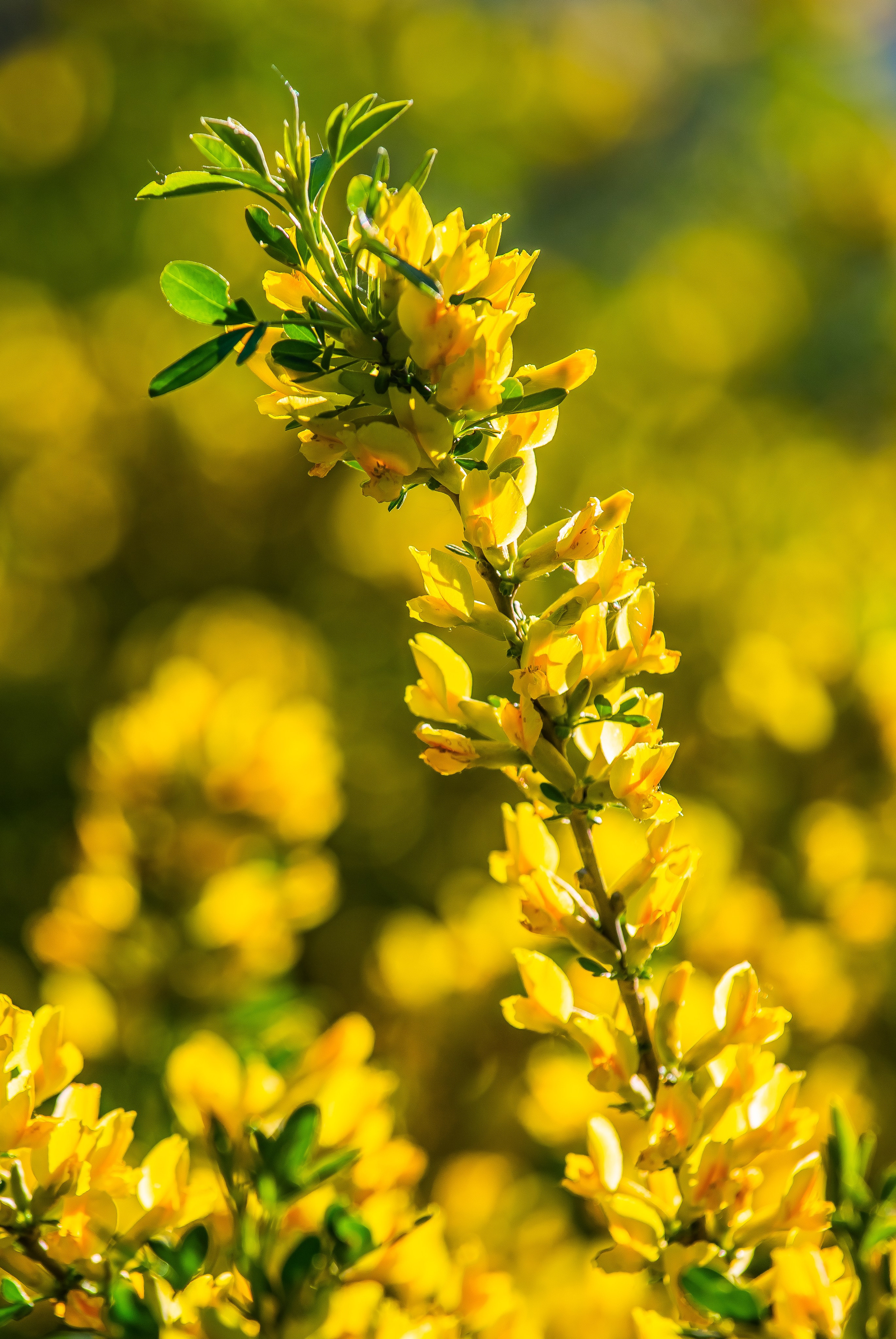 Макро. Авторские туры с профессиональным фотографом