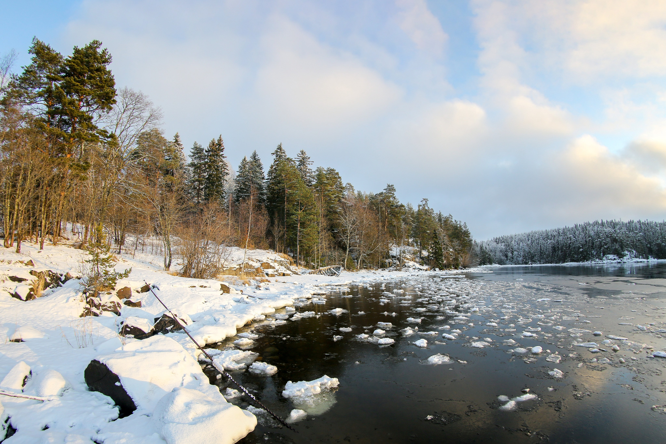 Природа. Трандин Иван Фотограф СПб