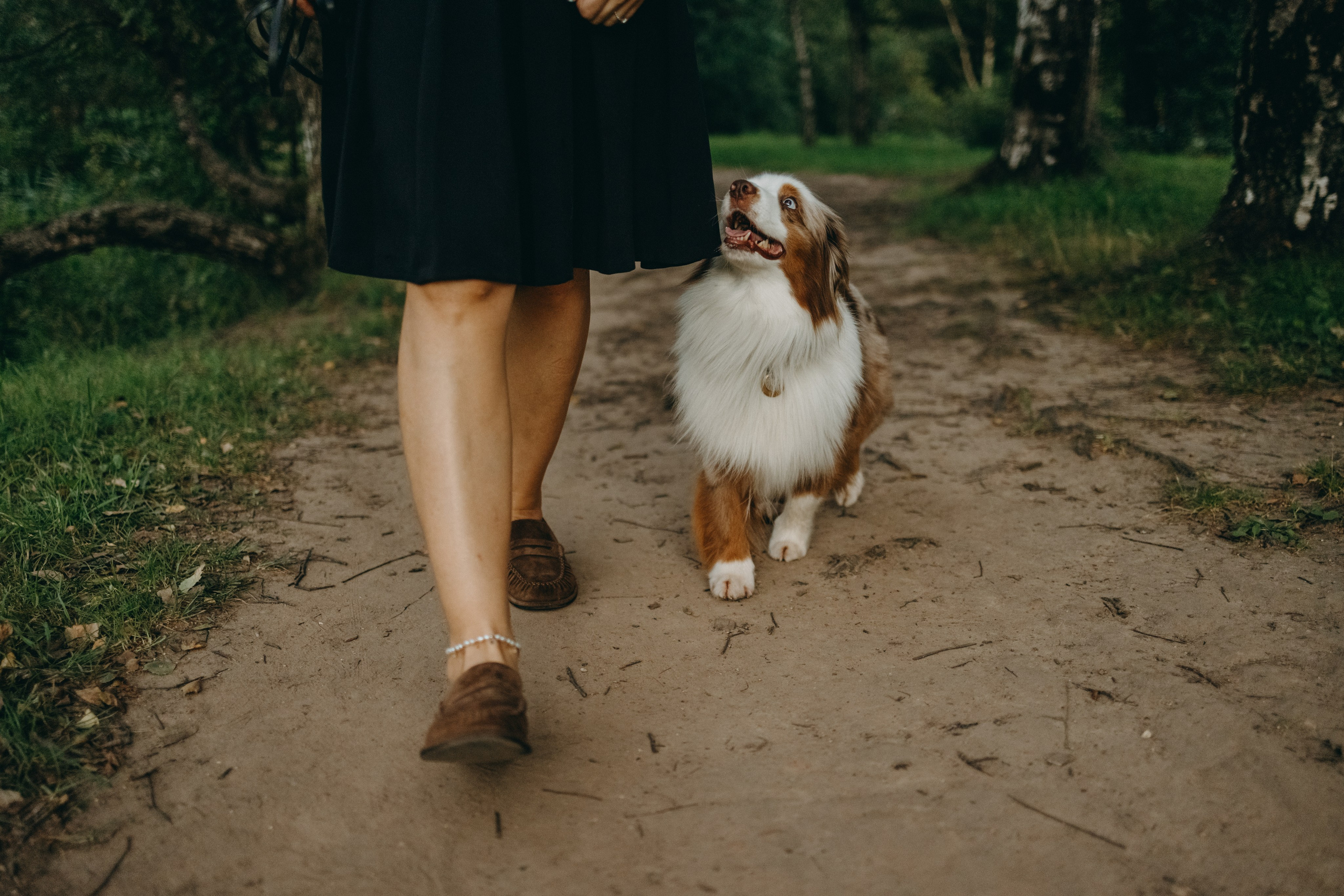 Маша и Эклер. Фотограф — Анималист | Санкт-Петербург