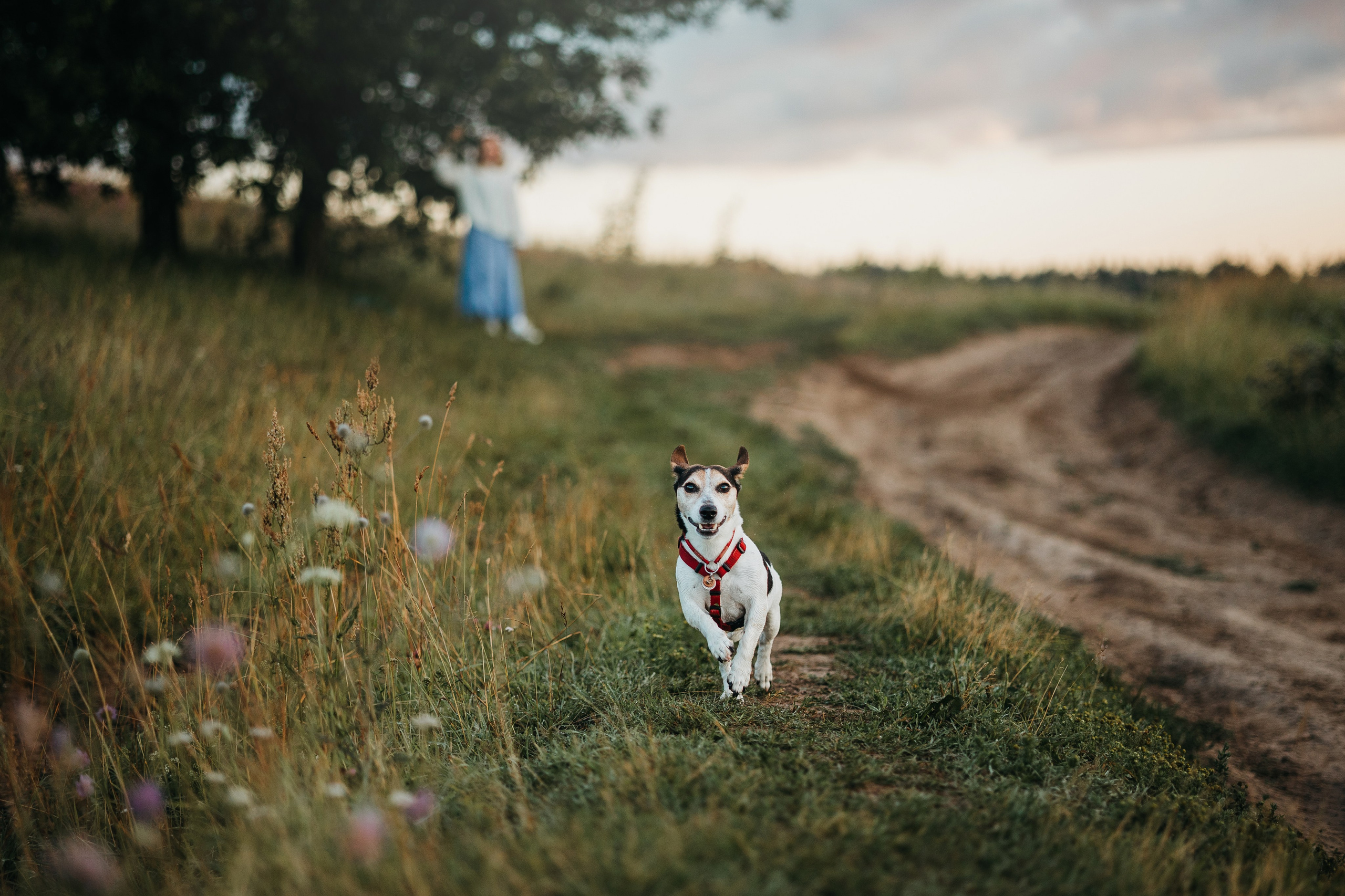 Маша и Персик. Фотограф — Анималист | Санкт-Петербург