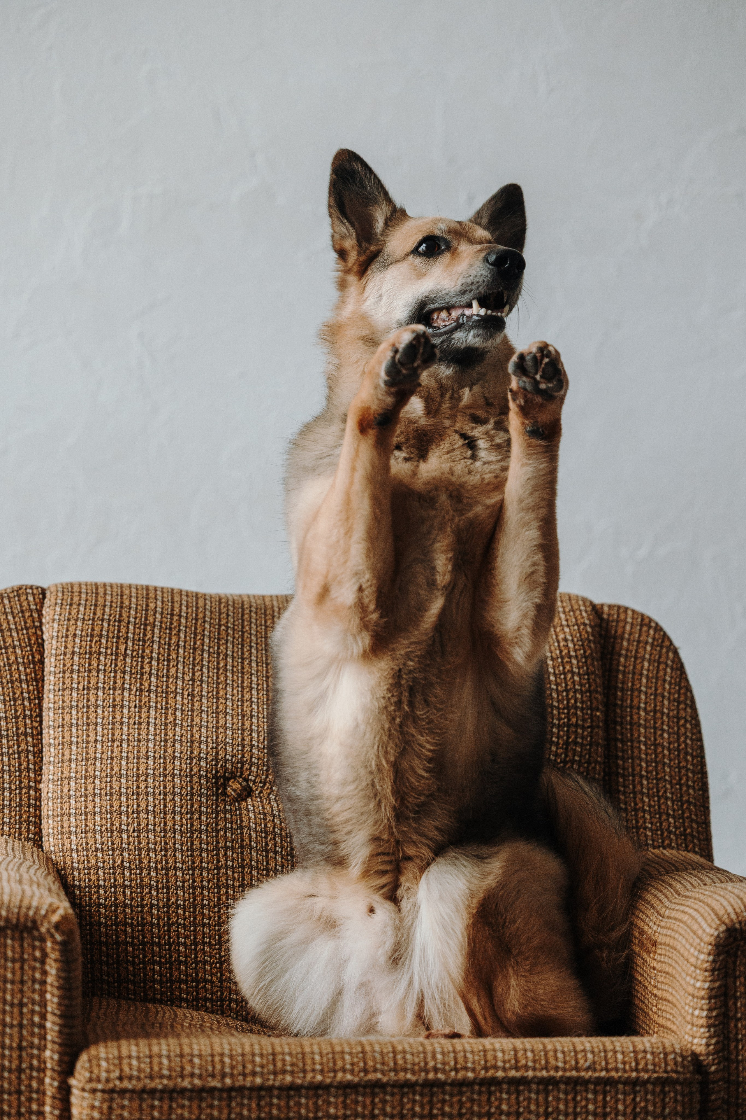 Лена и Дёма. Фотограф — Анималист | Санкт-Петербург