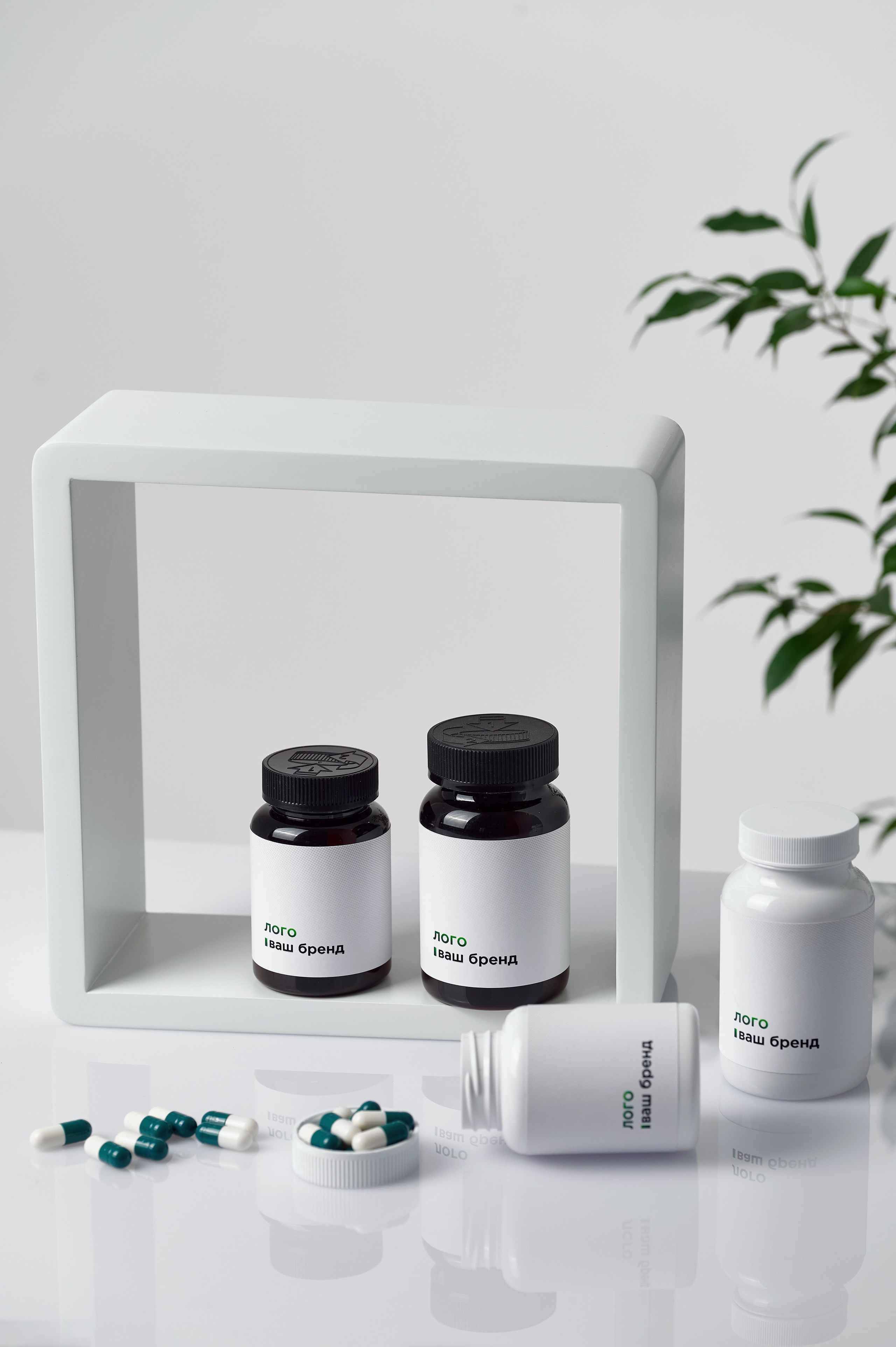 Бады дизайн. Фотограф Опыт Качество Скорость Горный Алтай Барнаул