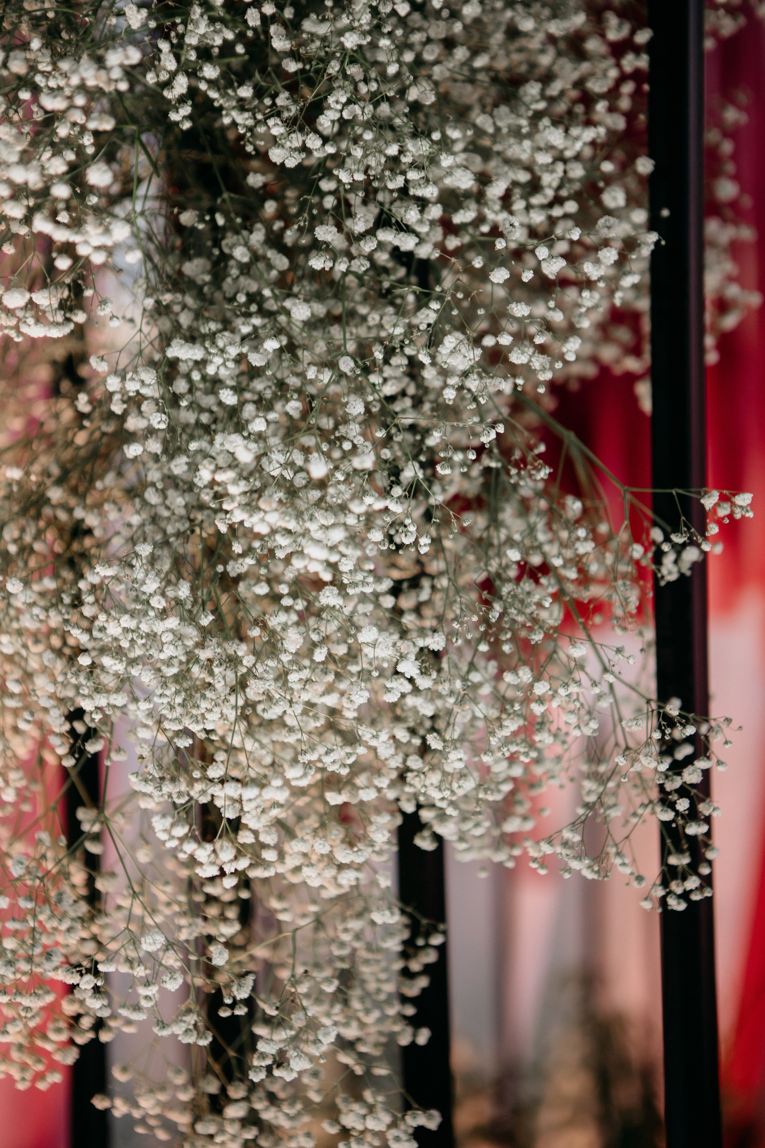 Евгений & Мария. Главная