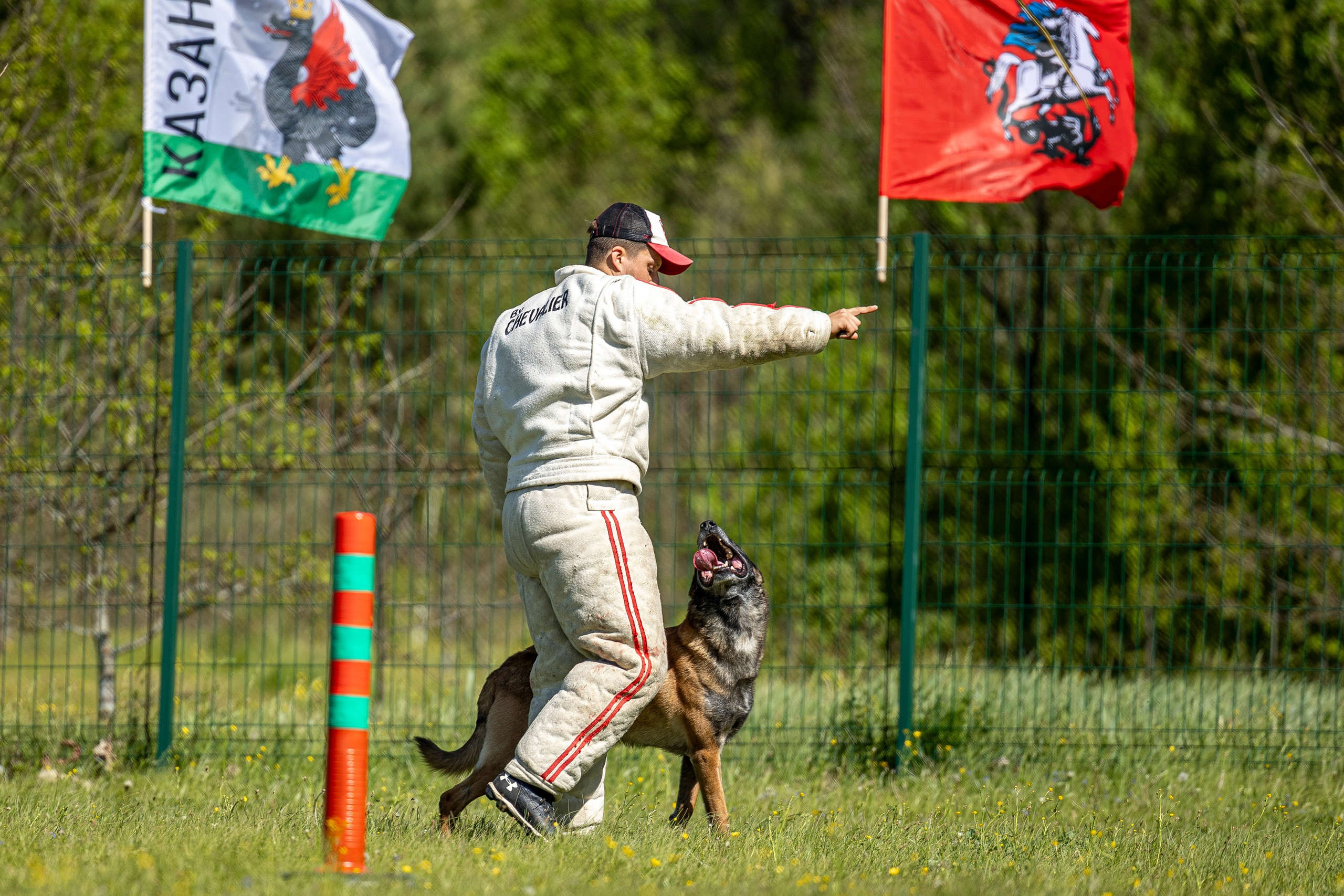 Испытания по мондьорингу в Нижнем Новгороде. Фотограф-анималист Анна Маринич