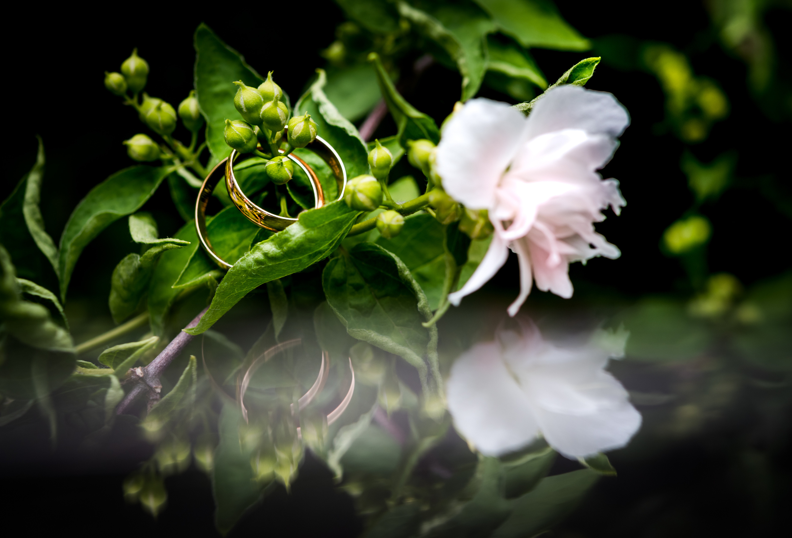 Duet-Photo (Свадьба). Фотограф в Москве Ирина Волкова