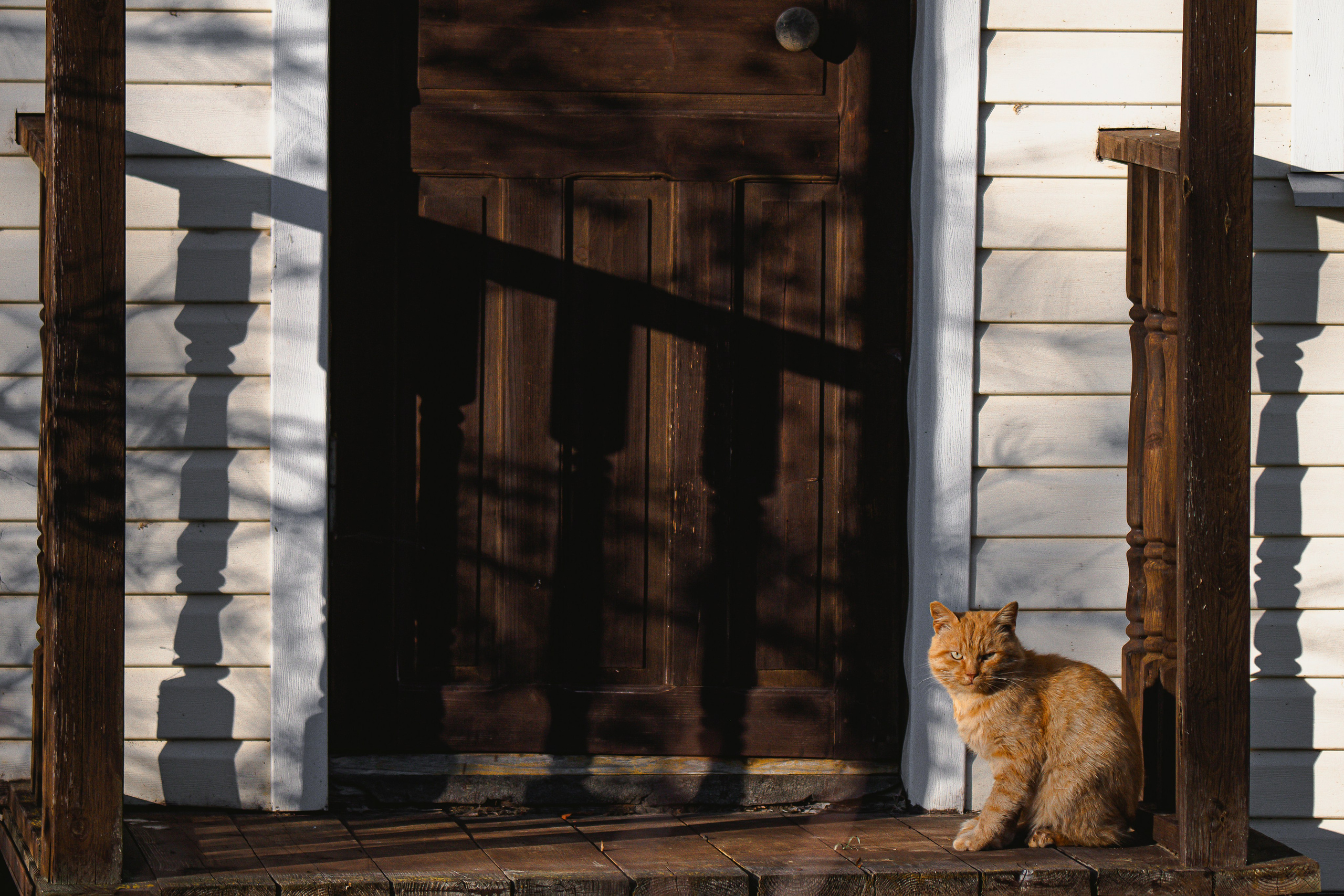 Цветные фотографии. Фотографии Лены Соколовой