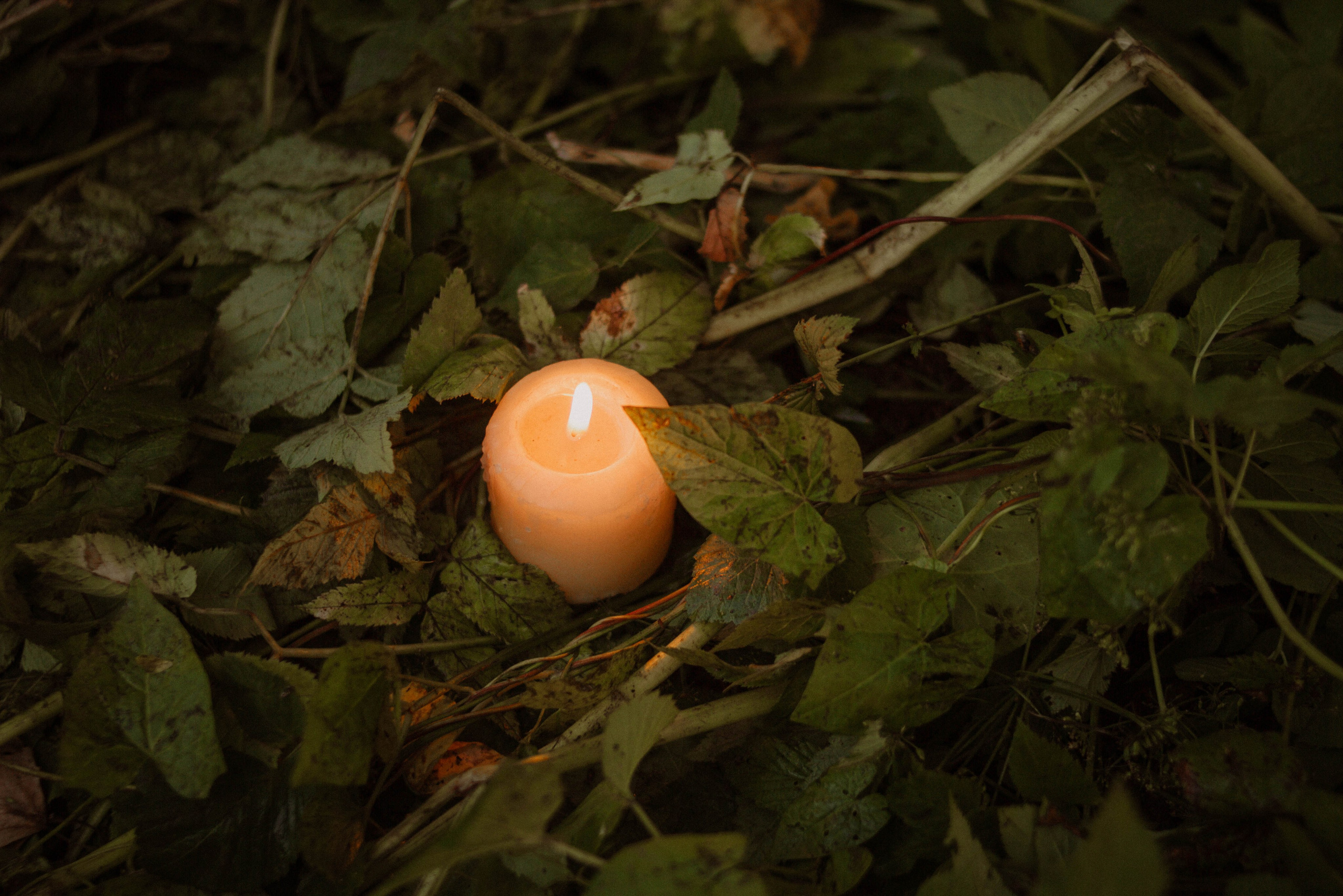 Кувшинки. Создадим шедевр? Виталина и её фотоискусство