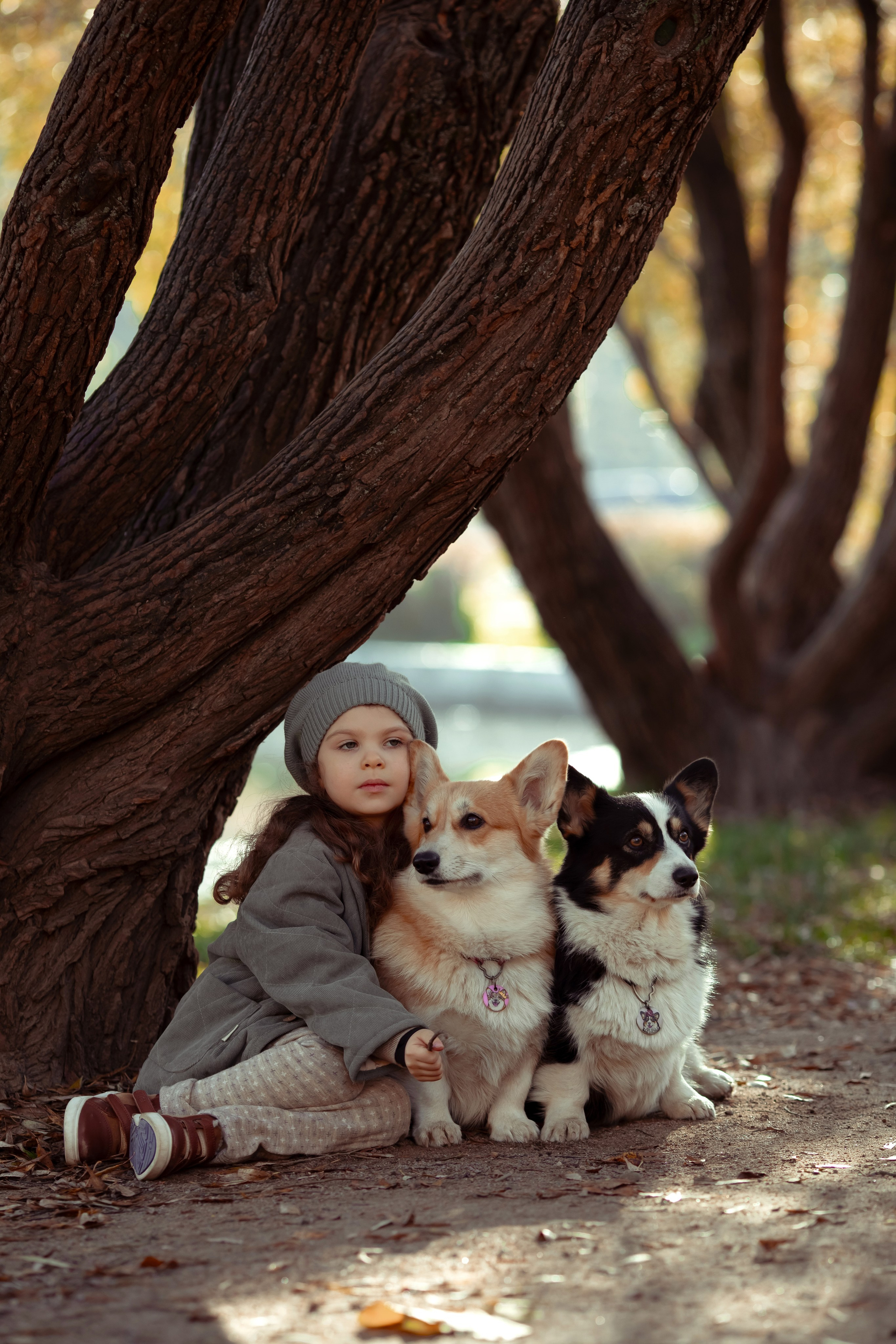 Эва с корги. Семейный и детский фотограф в Москве Дорогова Екатерина