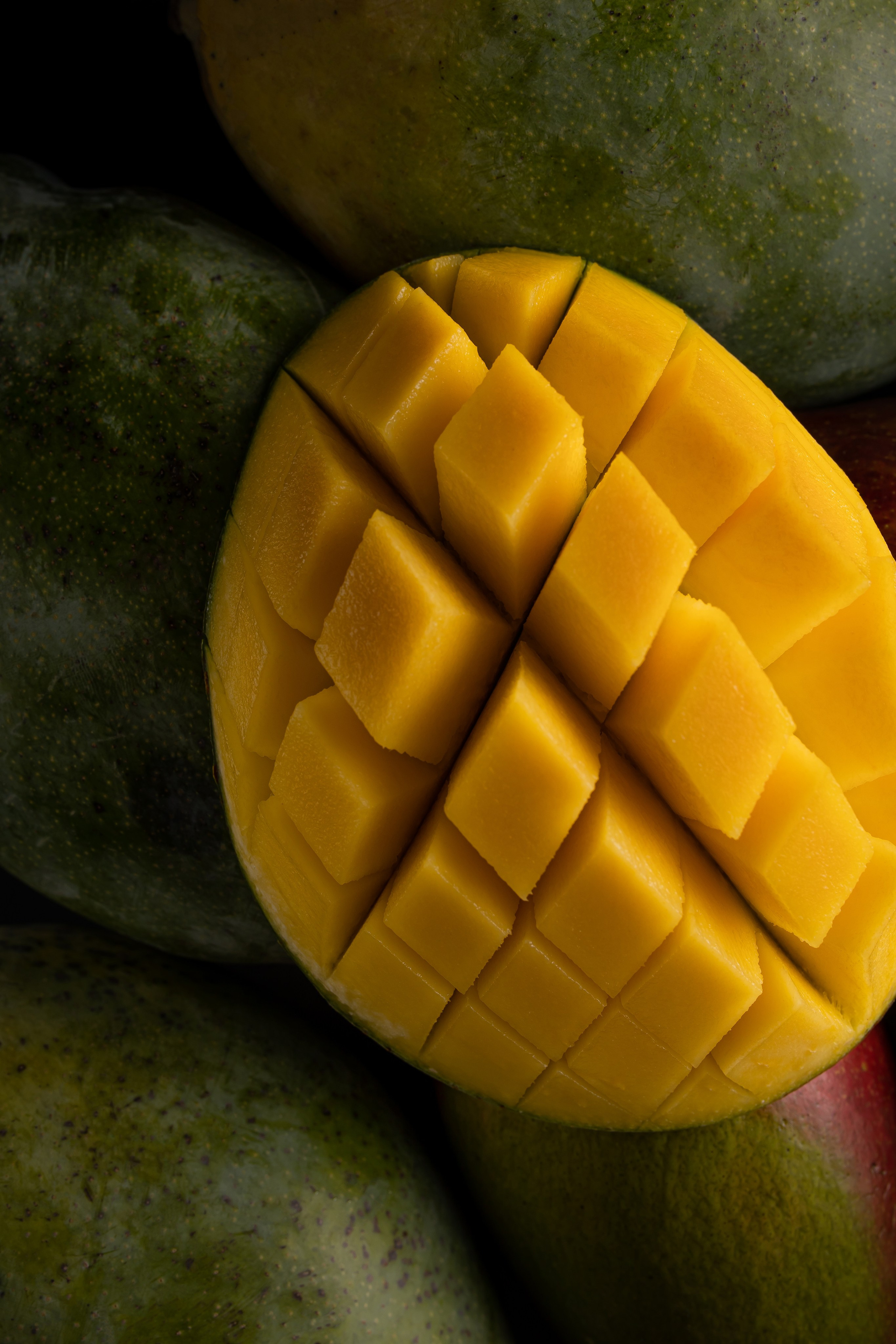 BLACK THAI. Фотограф Агеева Мария