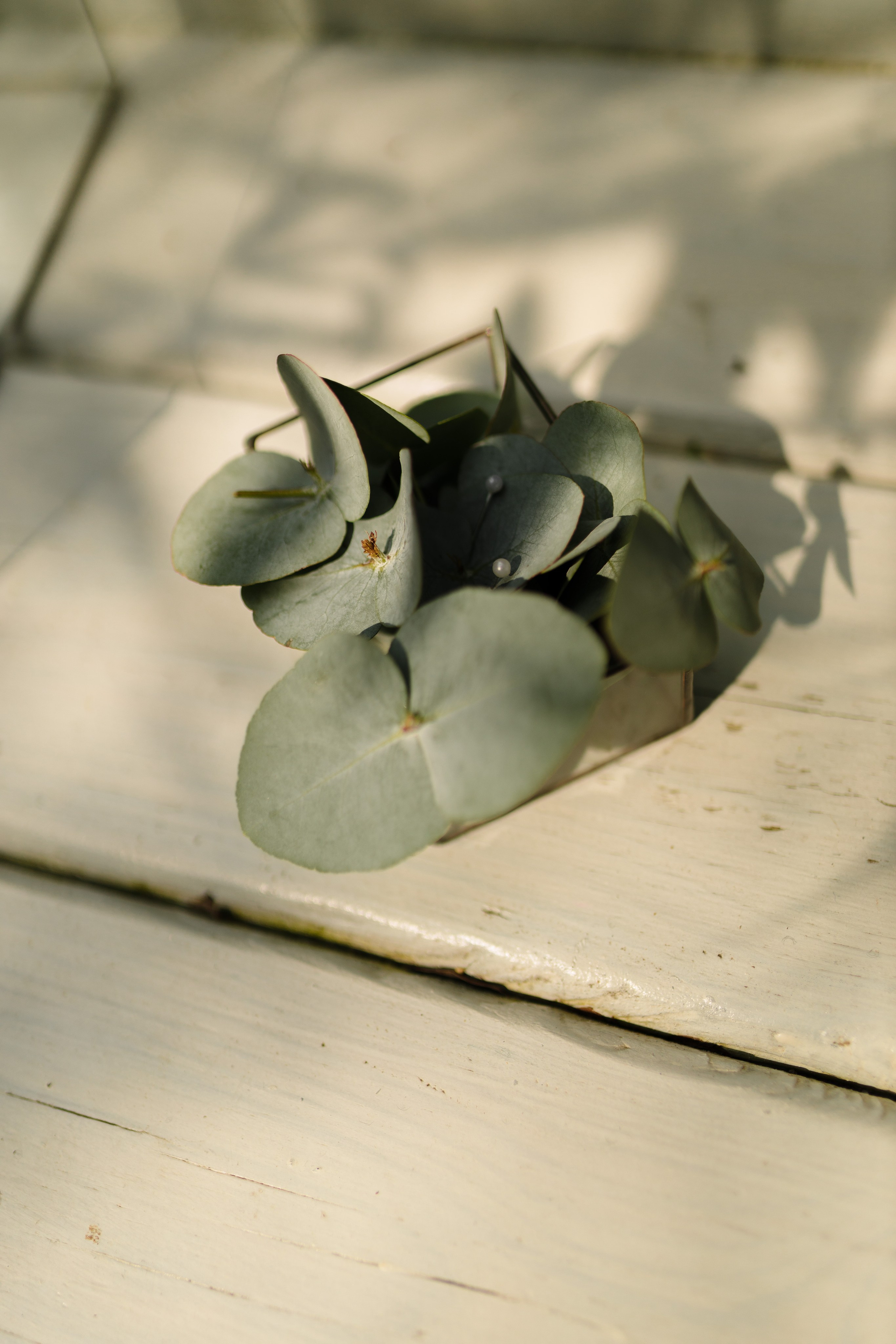 УСАДЬБА ГАНКА. Cheta Kovalevsky фотографы