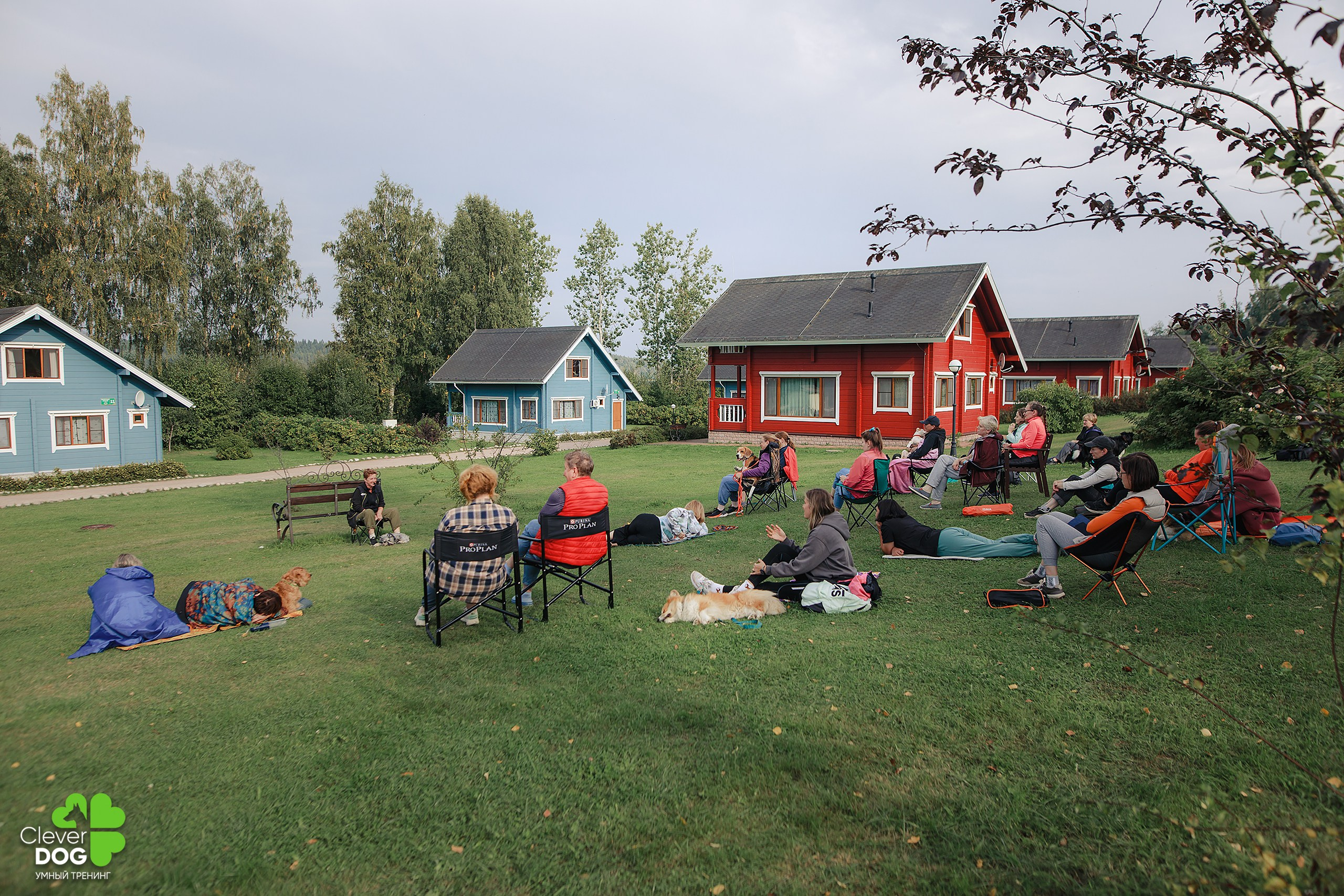 Кинологический лагерь CleverDog, 2024. Фотограф-анималист Mary Mart — Москва, Питер
