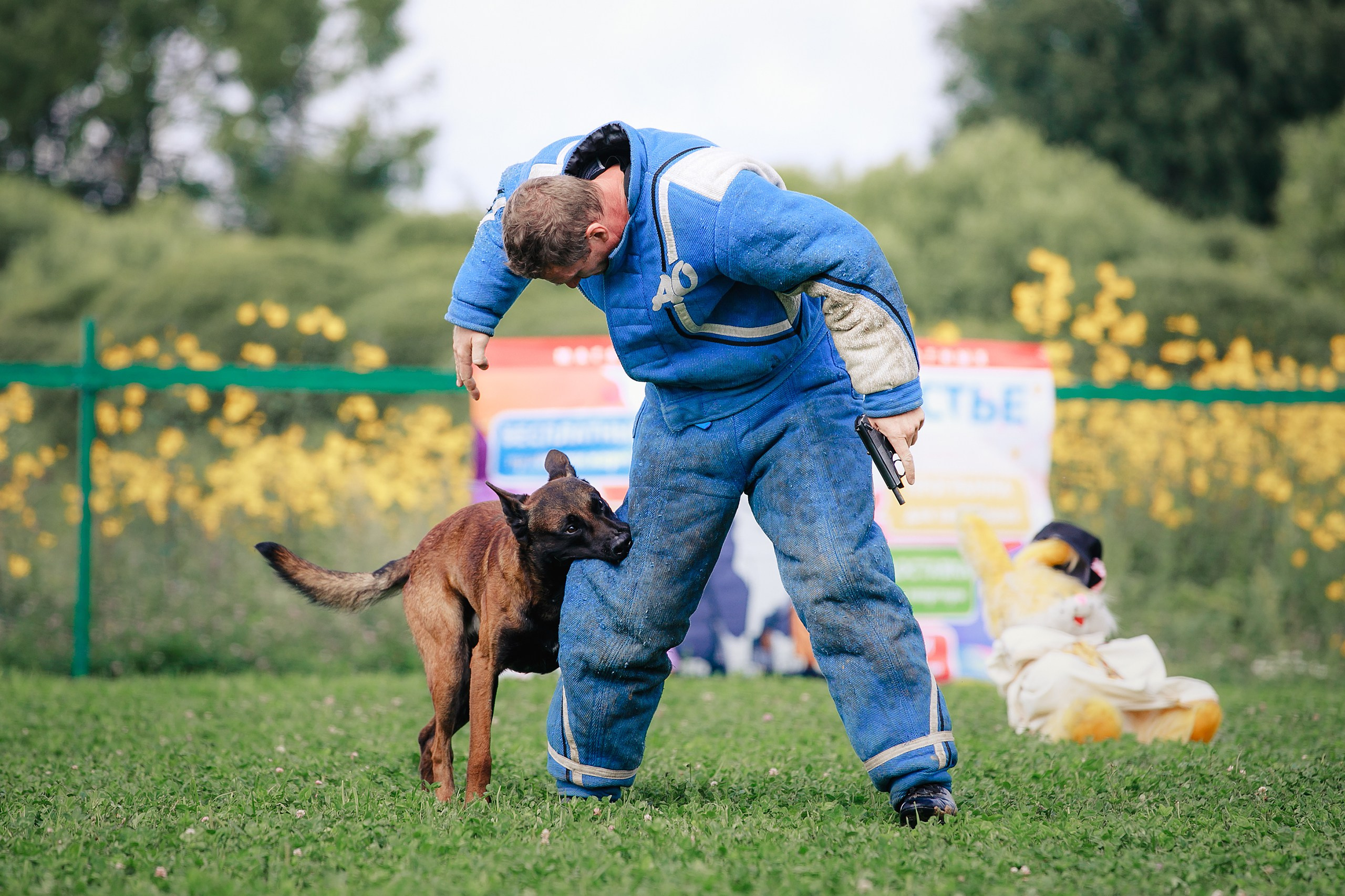 Мондьоринг М1, М2, М3, Вологда. Фотограф-анималист Mary Mart — Москва, Питер