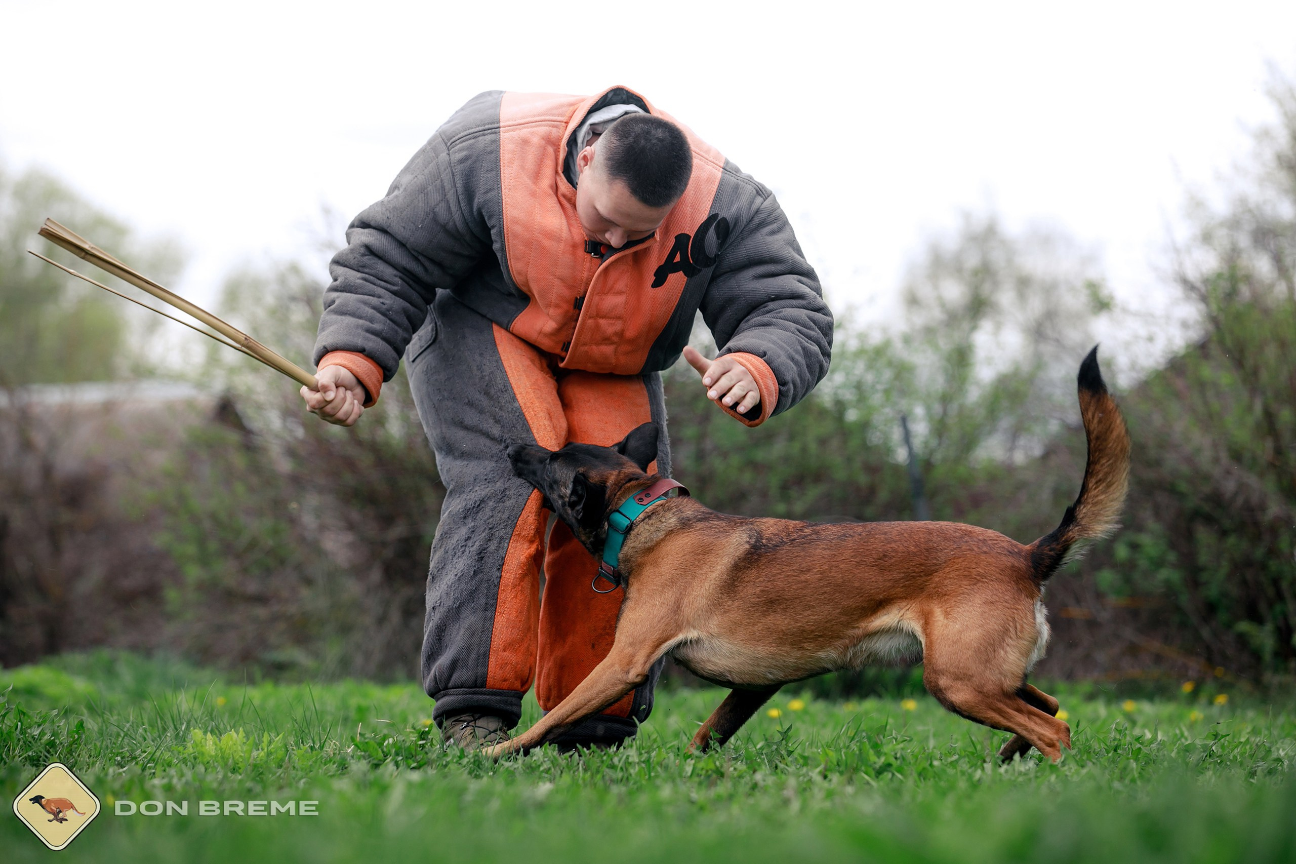 Семинар для фигурантов, день 2. Фотограф-анималист Mary Mart — Москва, Питер