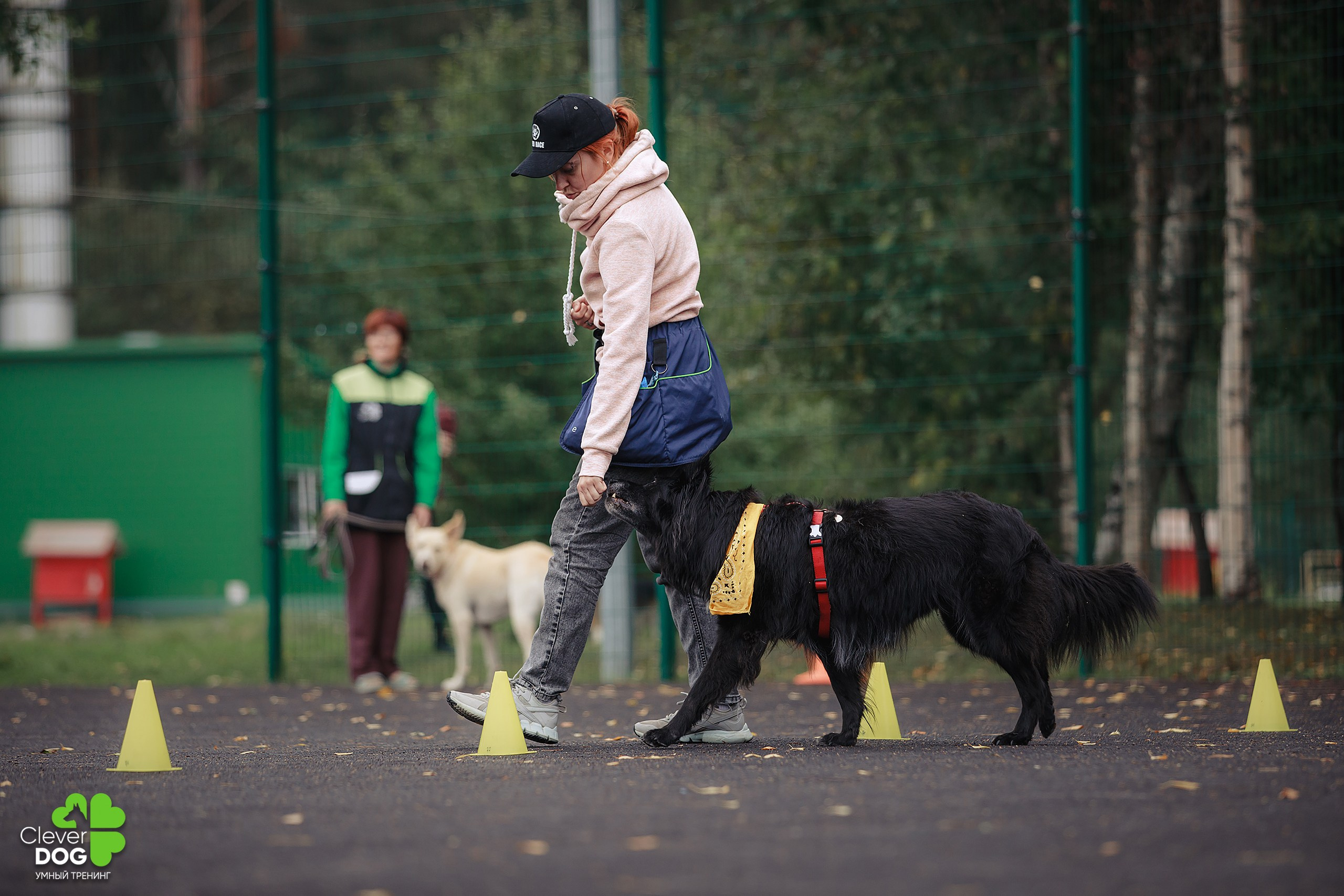 Кинологический лагерь CleverDog, 2024. Фотограф-анималист Mary Mart — Москва, Питер