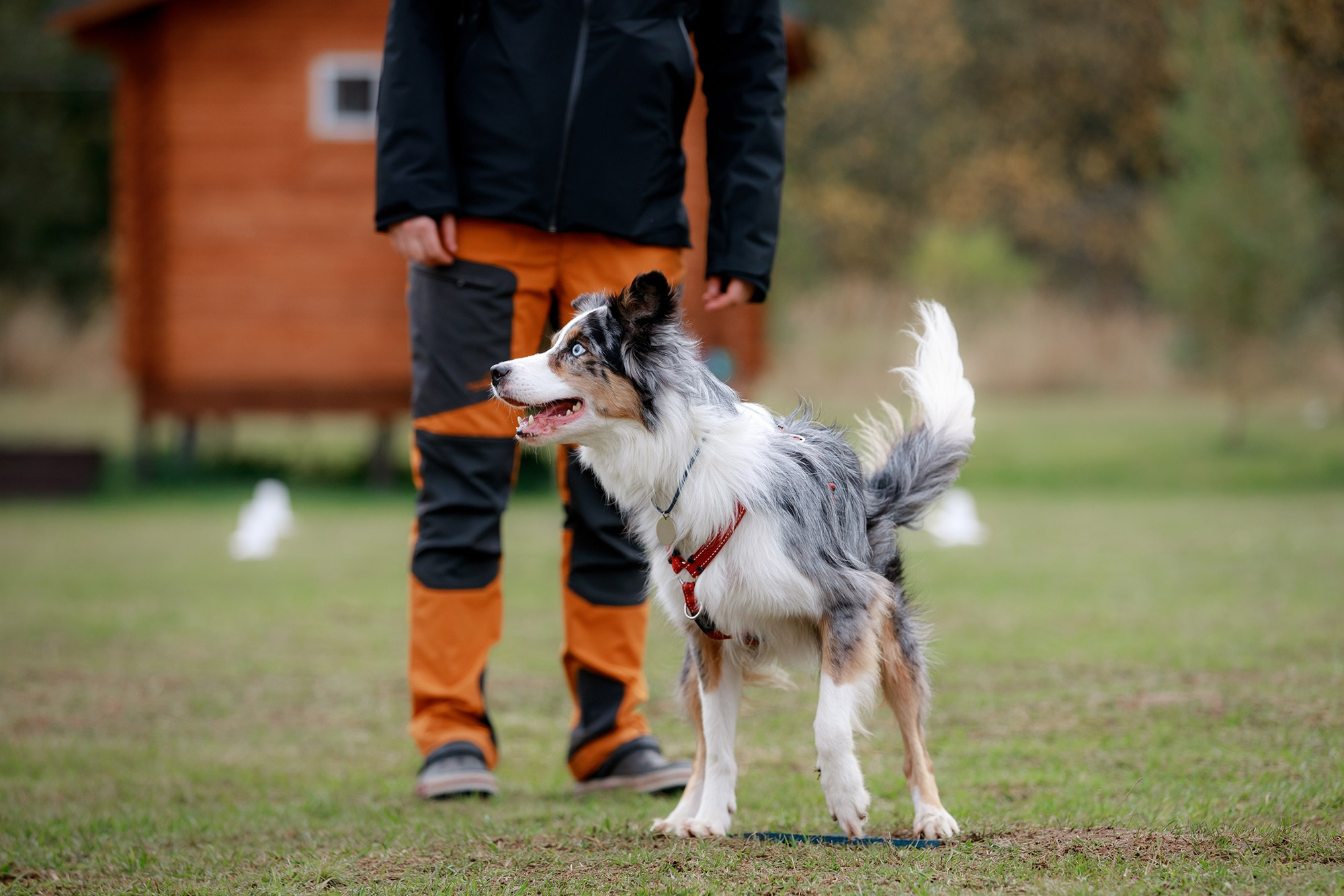 Лагерь по ОБД с Инной Баженовой. Фотограф-анималист Mary Mart — Москва, Питер