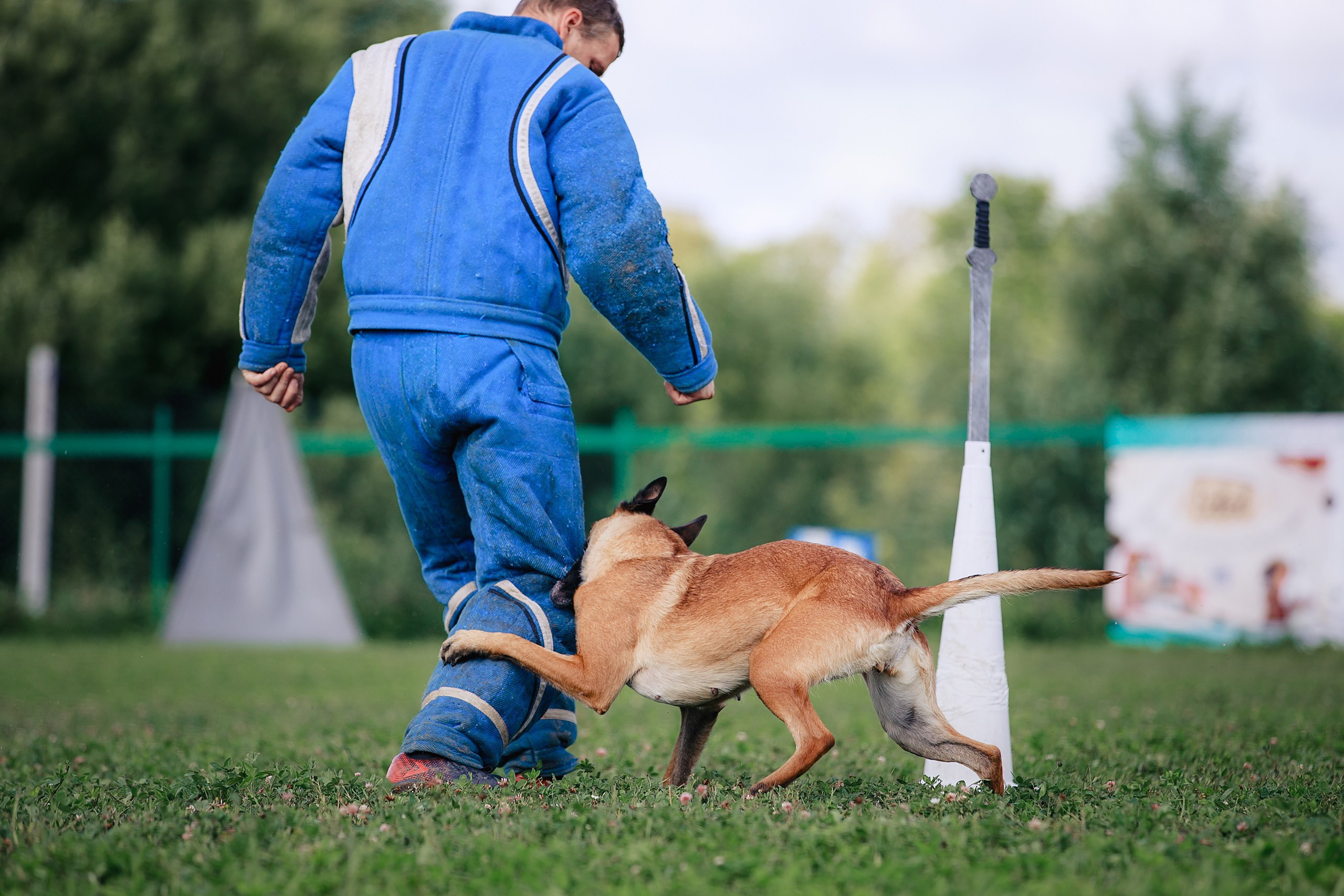 Мондьоринг М1, М2, М3, Вологда. Фотограф-анималист Mary Mart — Москва, Питер