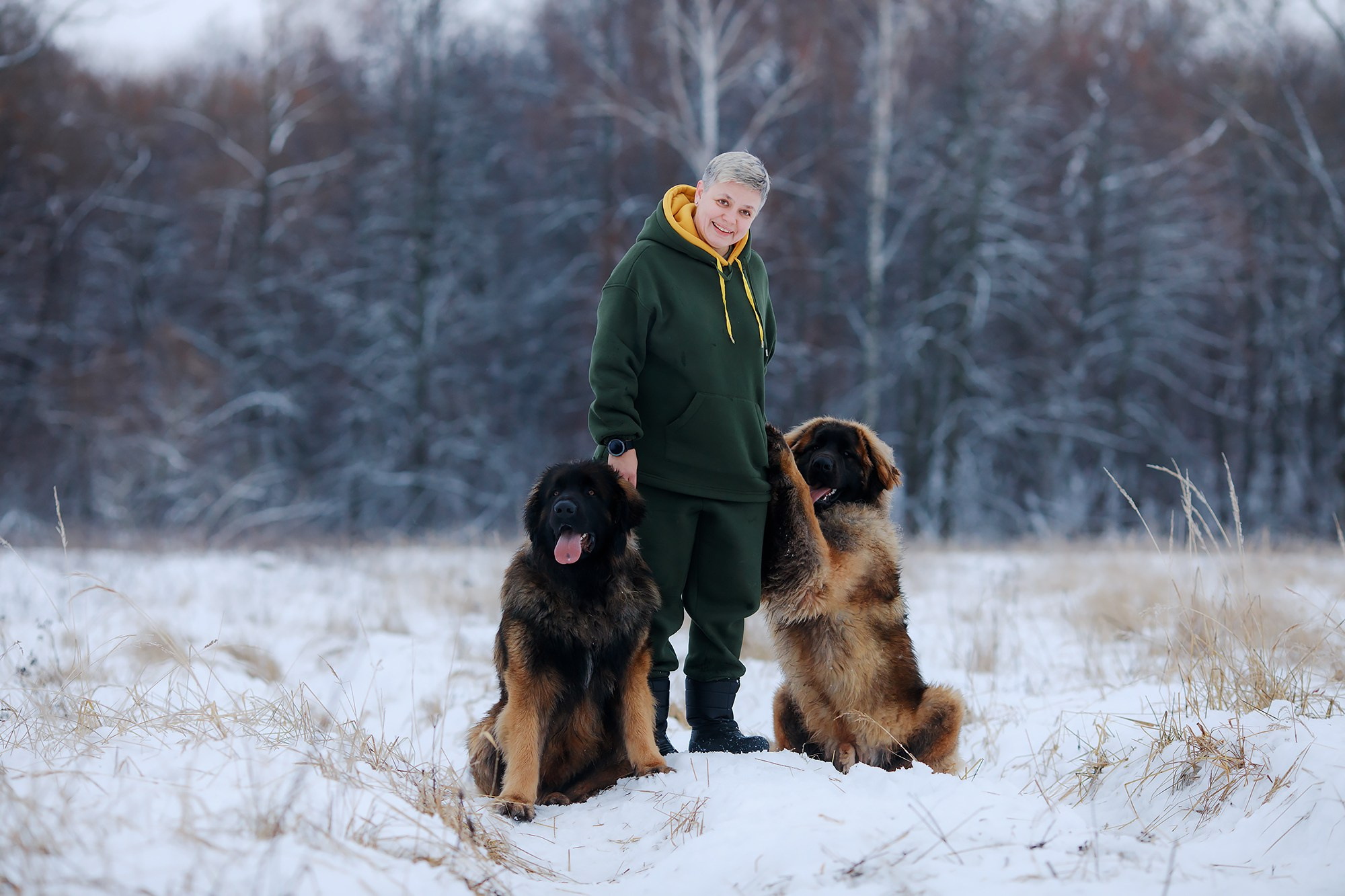 Леоненбергеры. Фотограф-анималист Mary Mart — Москва, Питер