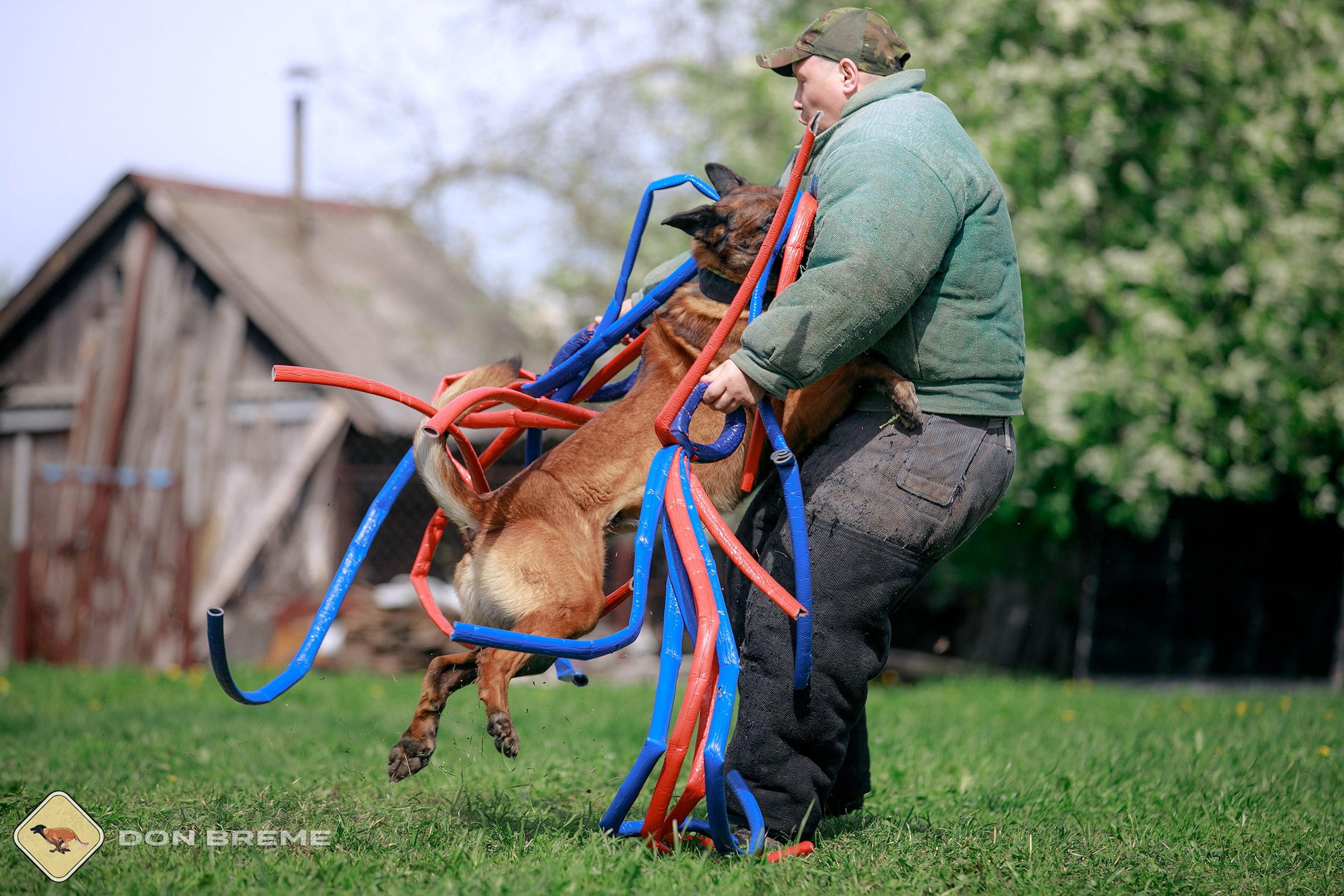Семинар для фигурантов, день 4. Фотограф-анималист Mary Mart — Москва, Питер
