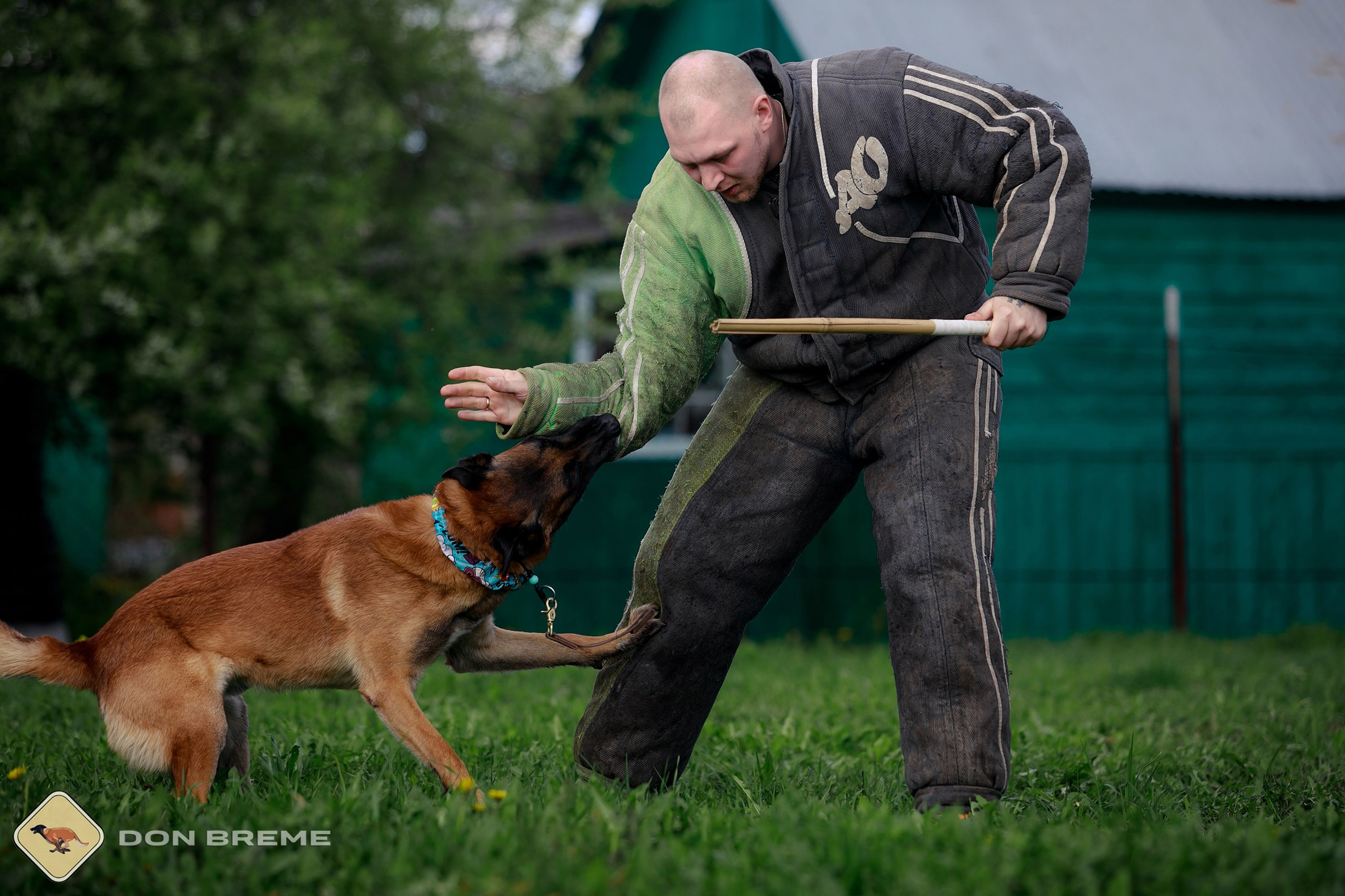 Семинар для фигурантов, день 2. Фотограф-анималист Mary Mart — Москва, Питер