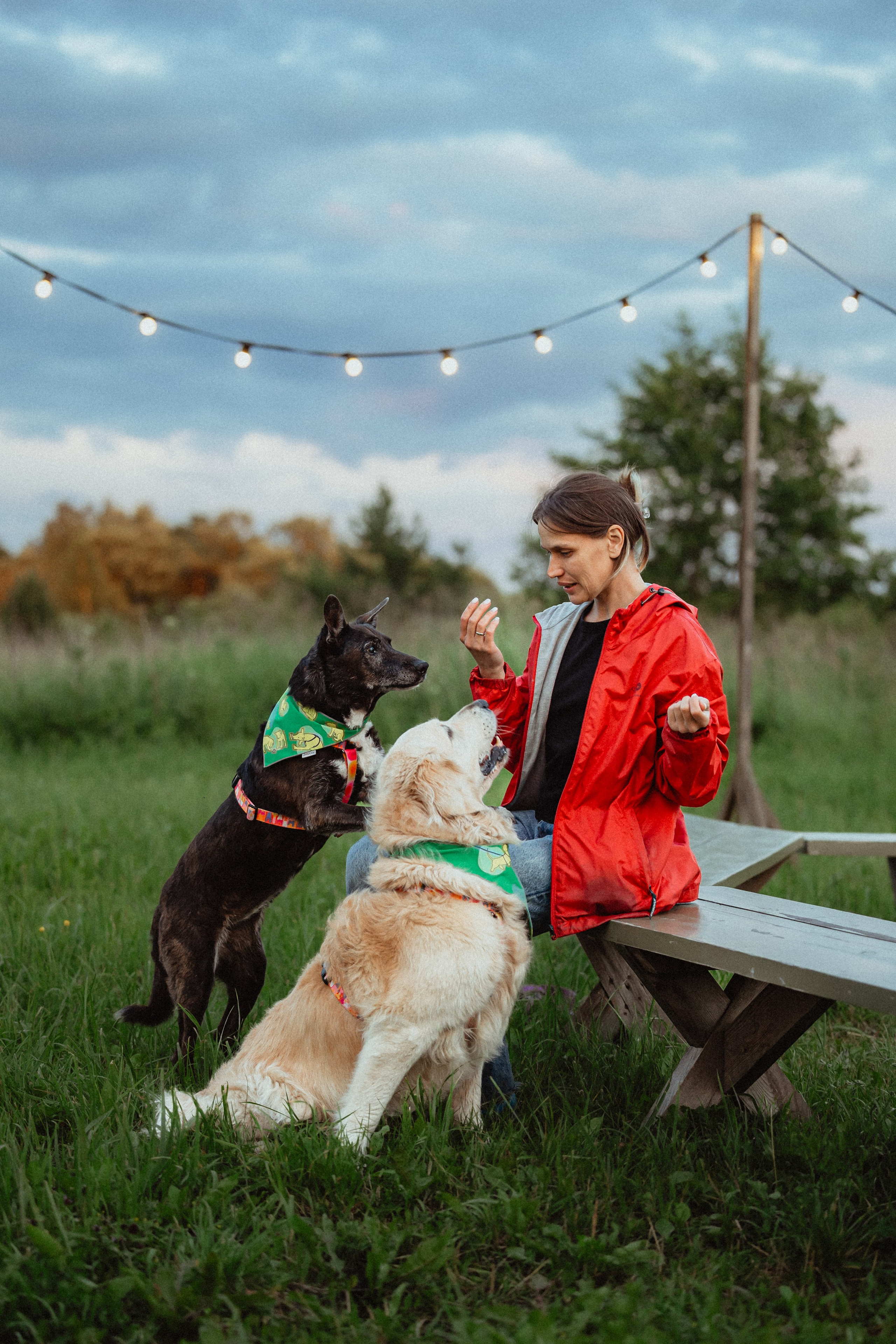 Выездной дог-тренинг от школы «Шерсть имею»