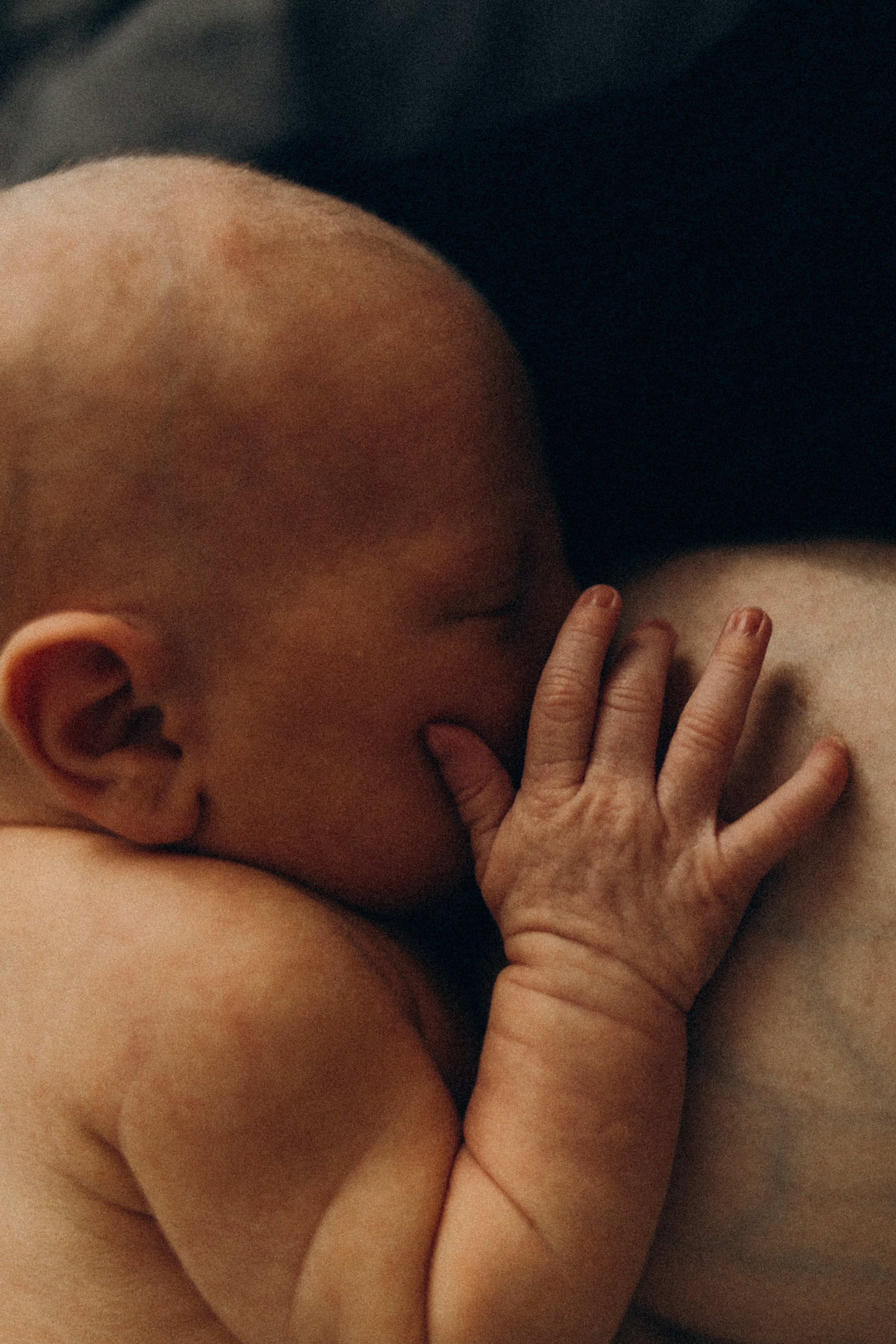 Выписка Мирославы. Семейный фотограф и фотограф на роды в Ростове-на-Дону Мухина Виктория