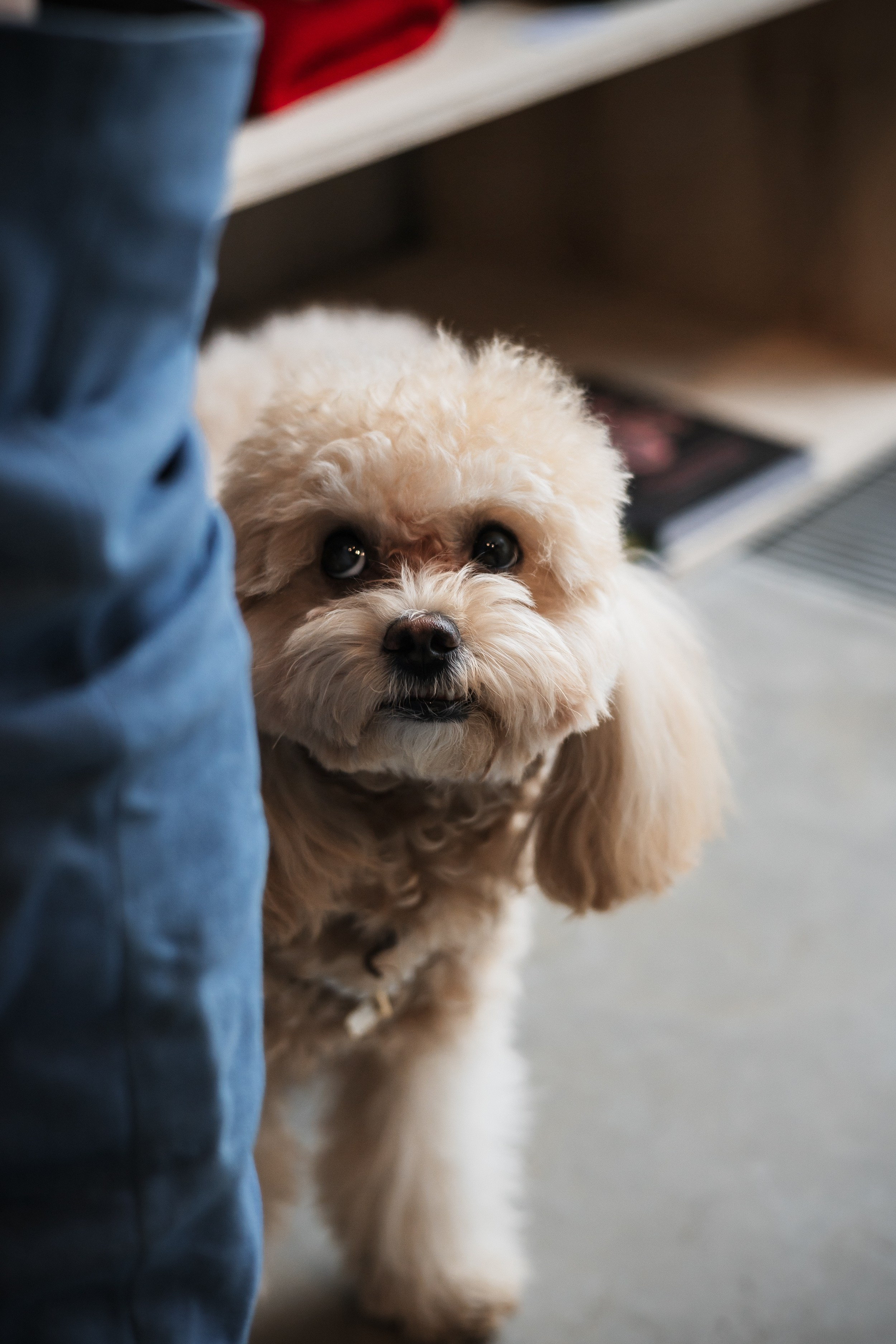 Алина — прогулка