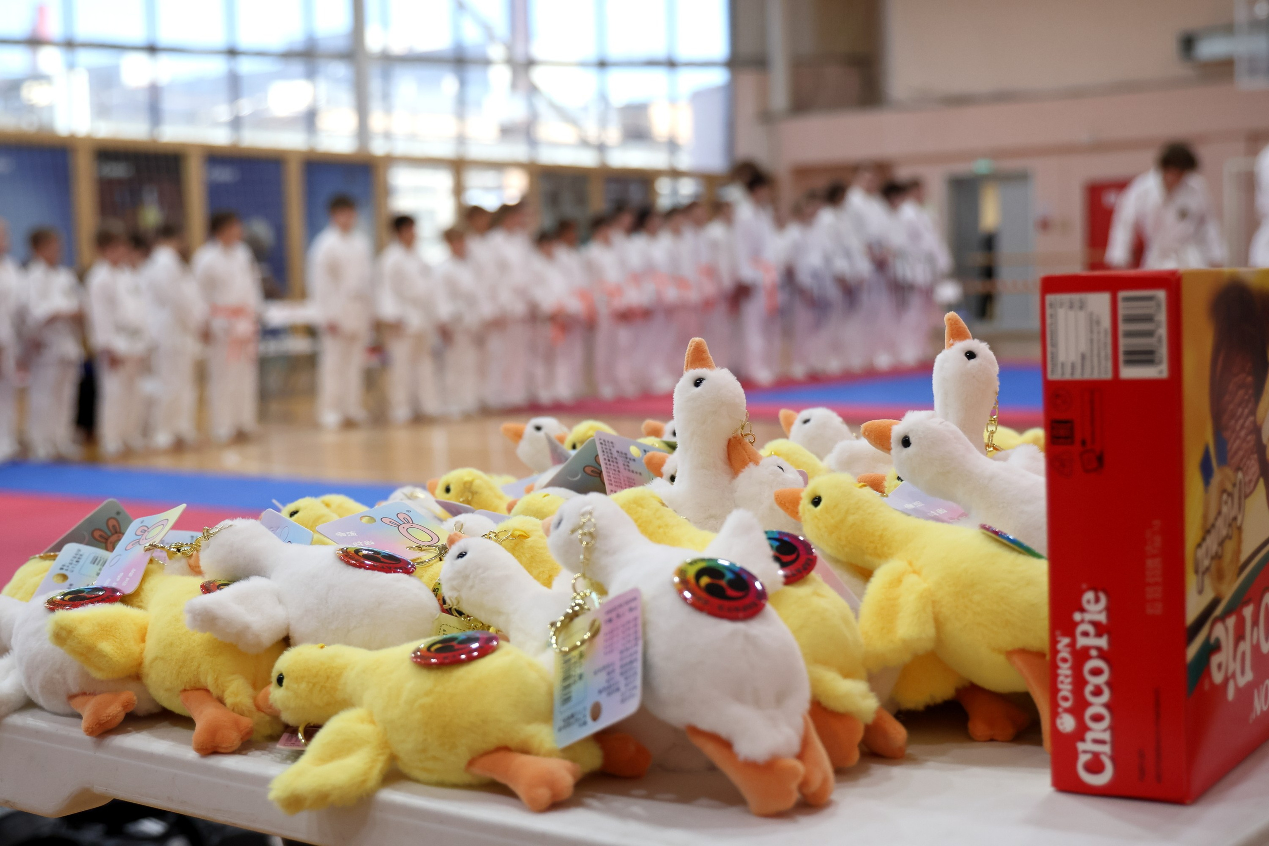 Соревнования по КУМИТЭ: Бои в жилетах. Спортивный и репортажный фотограф Ермакова Светлана