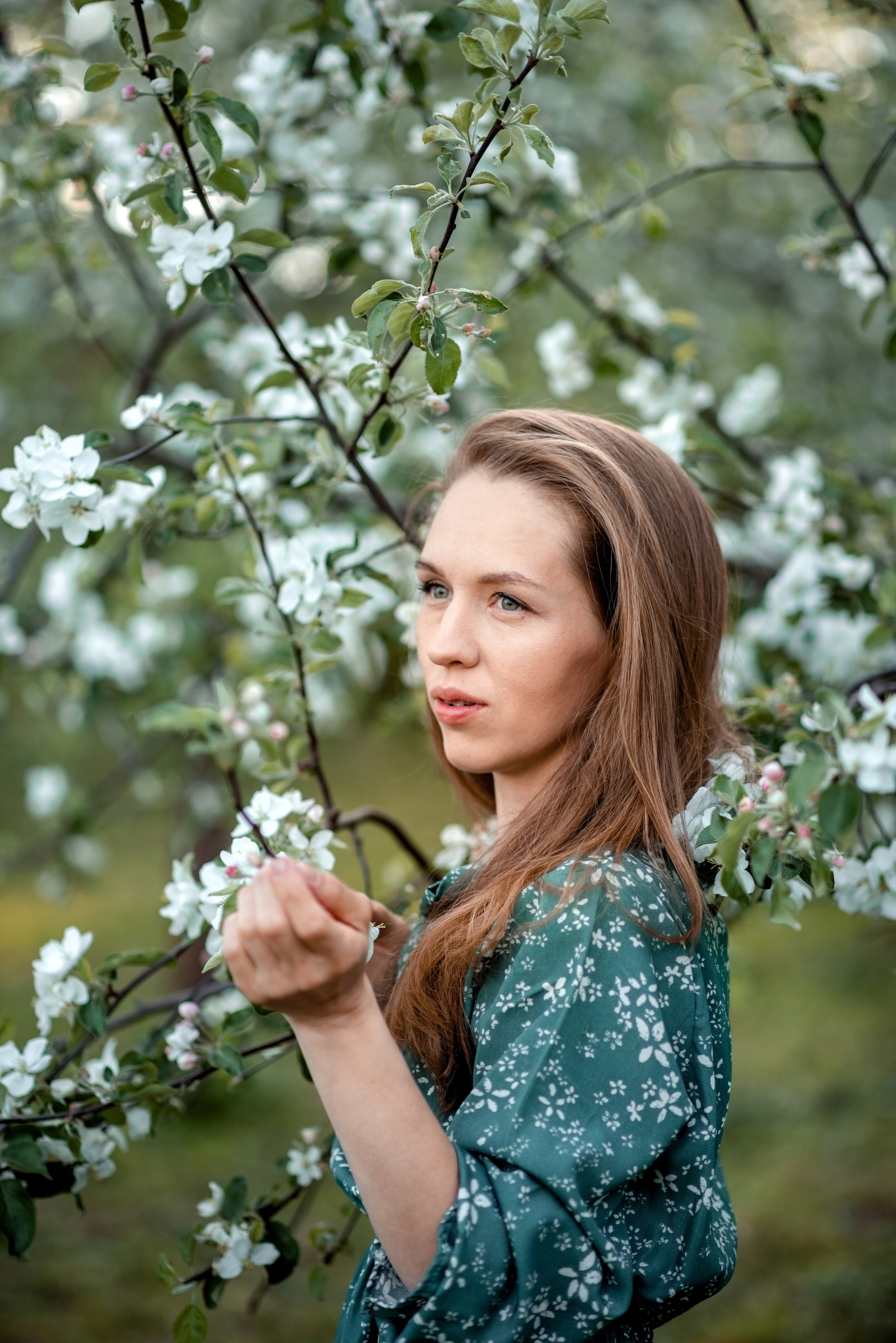 Семейная фотосессия в цветении. Ясная Поляна. Семейный и детский фотограф в Туле Светлана Воронкова