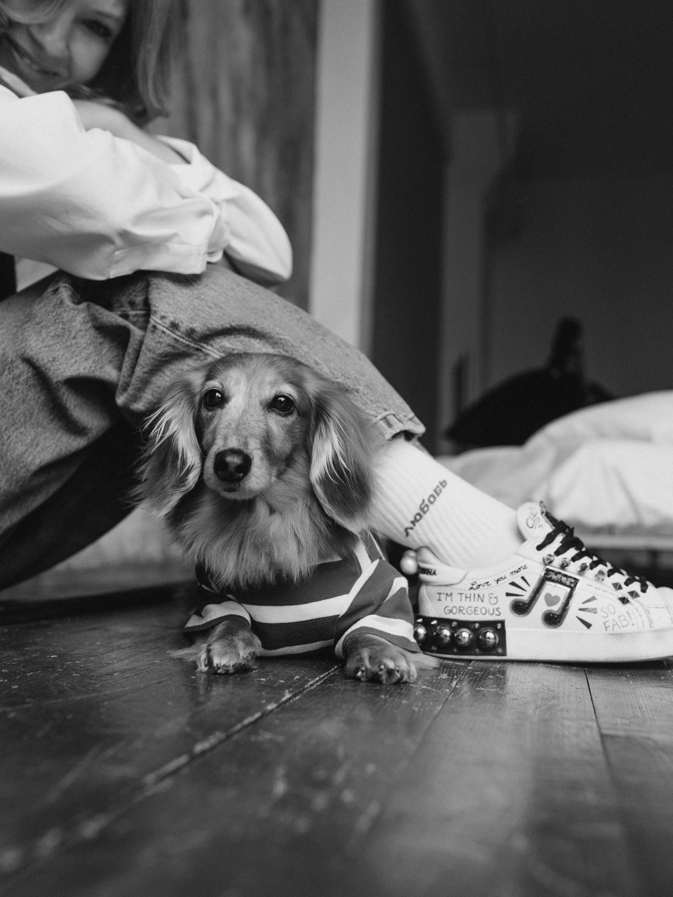 Лимон и Аня. Фотограф-анималист в Москве Кириллова Татьяна