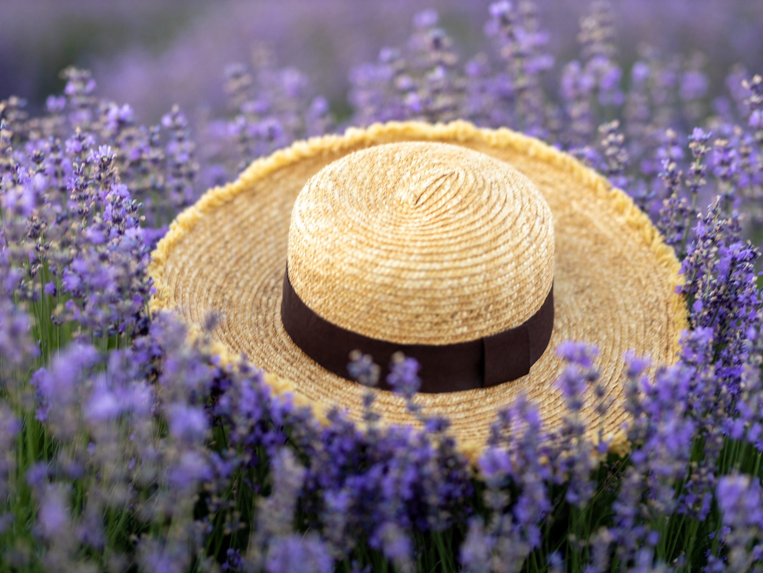 Юля. Фотограф-анималист в Москве Кириллова Татьяна