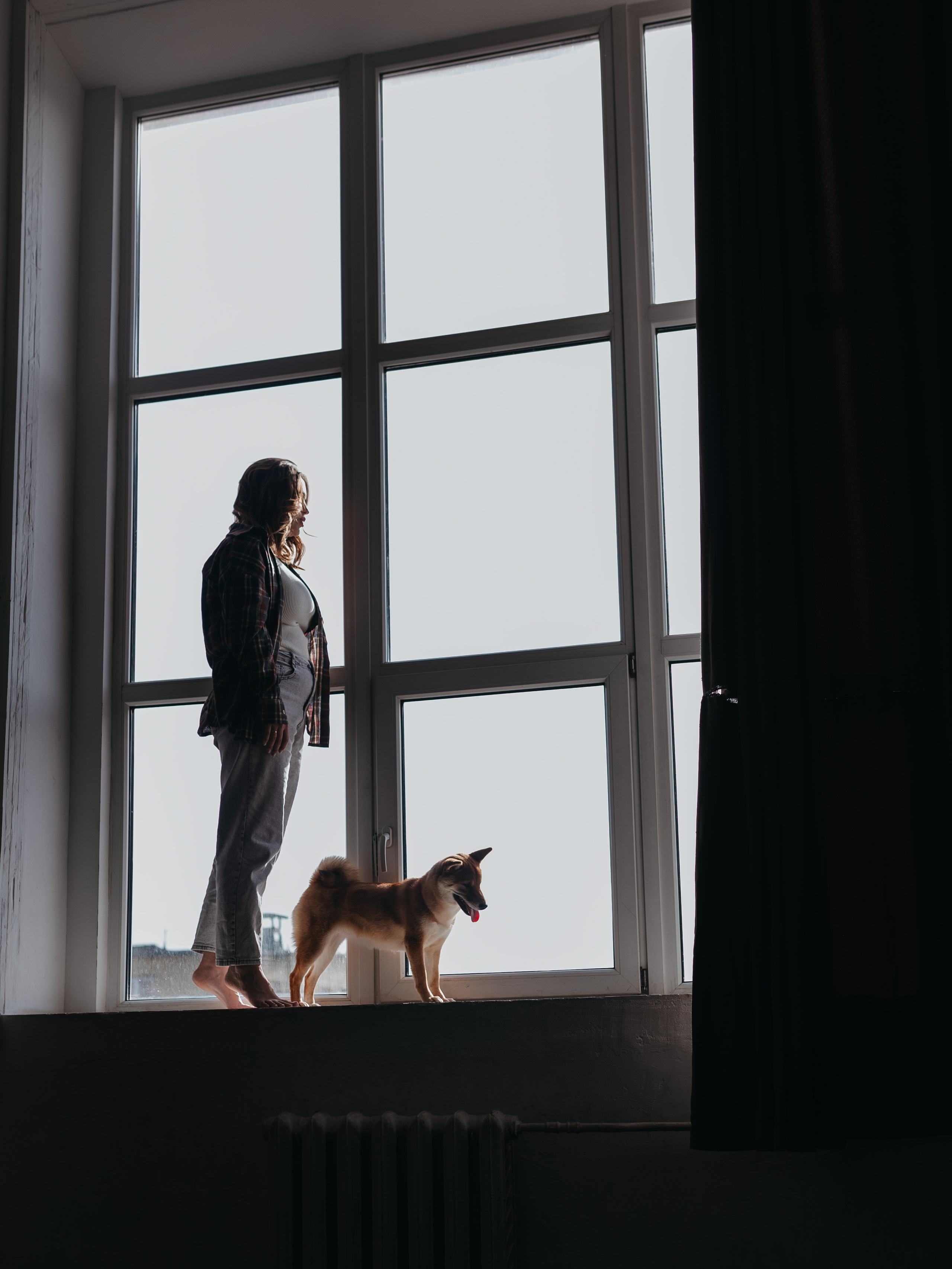 Мика и Настя. Фотограф-анималист в Москве Кириллова Татьяна