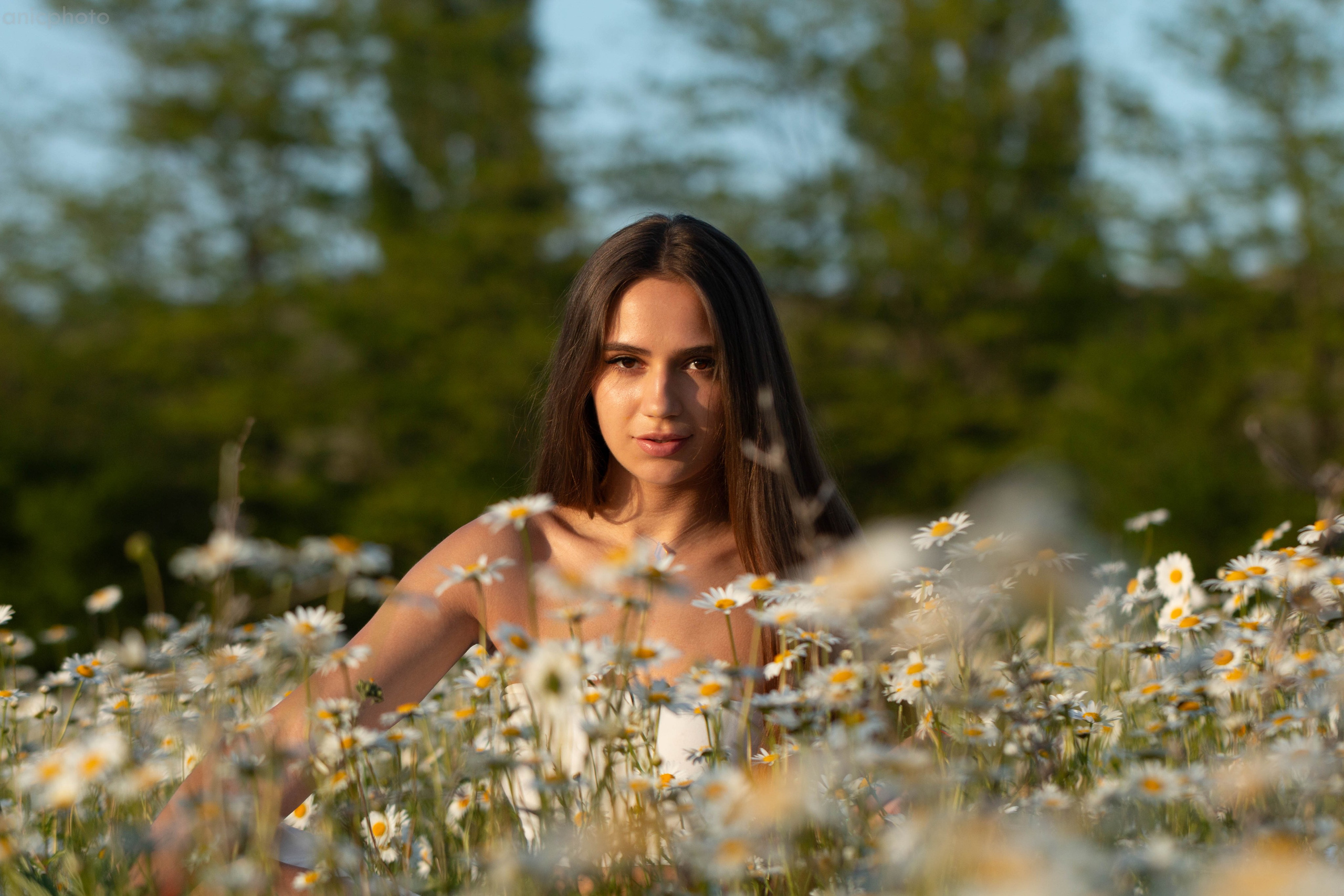 Эльмаз. Аник фотограф Симферополь, Крым