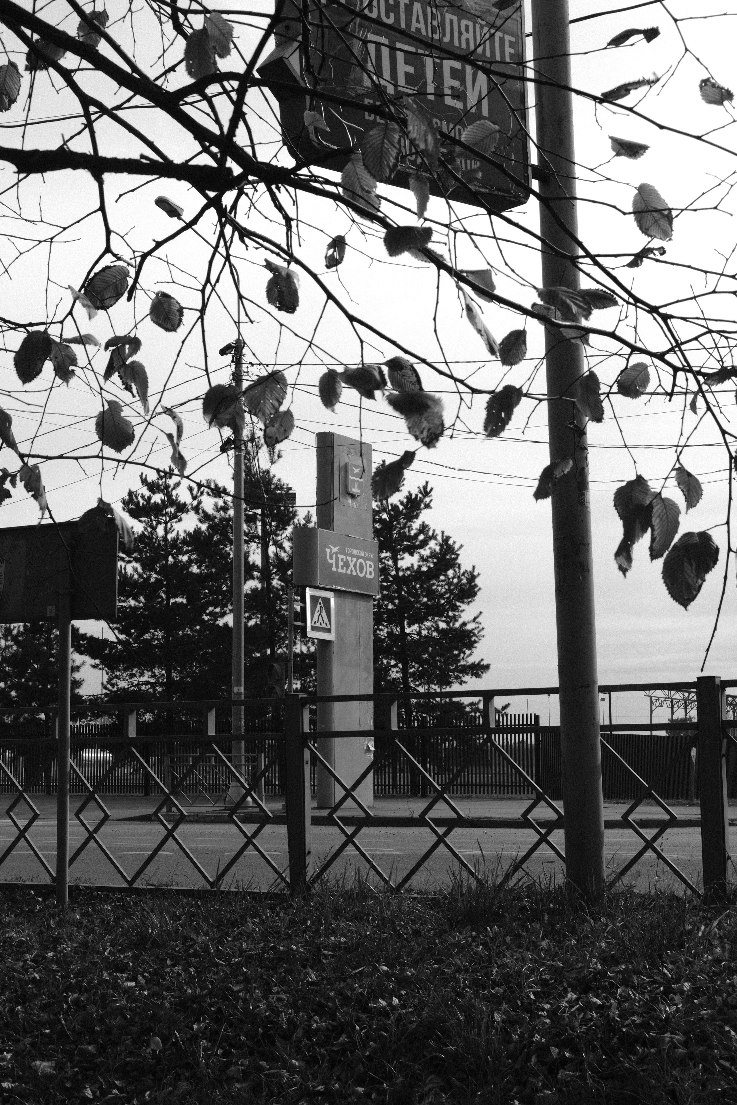 Чехов-Серпухов. Фотограф Маргана Лоция