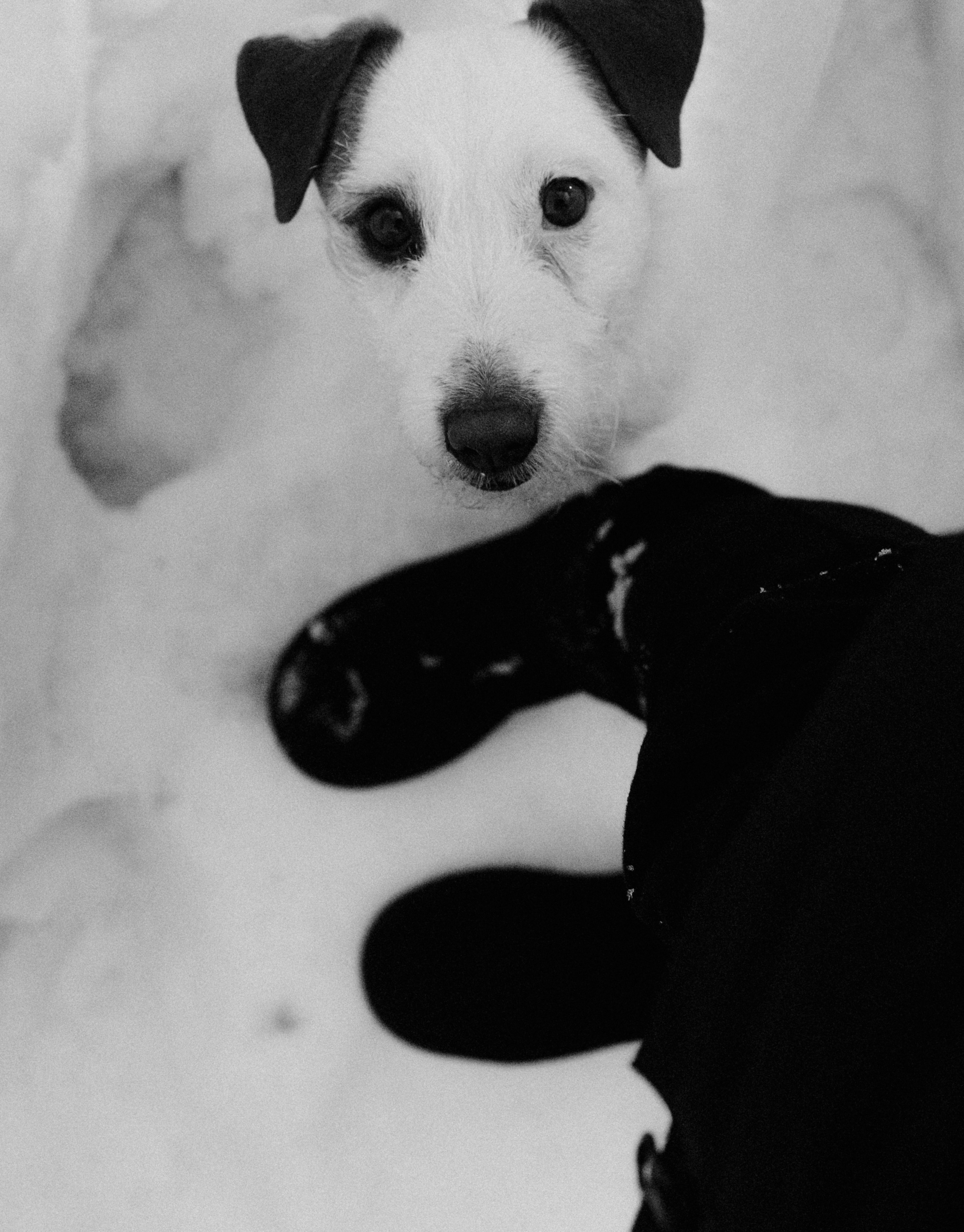 Природа &. Фотохудожник в СПб