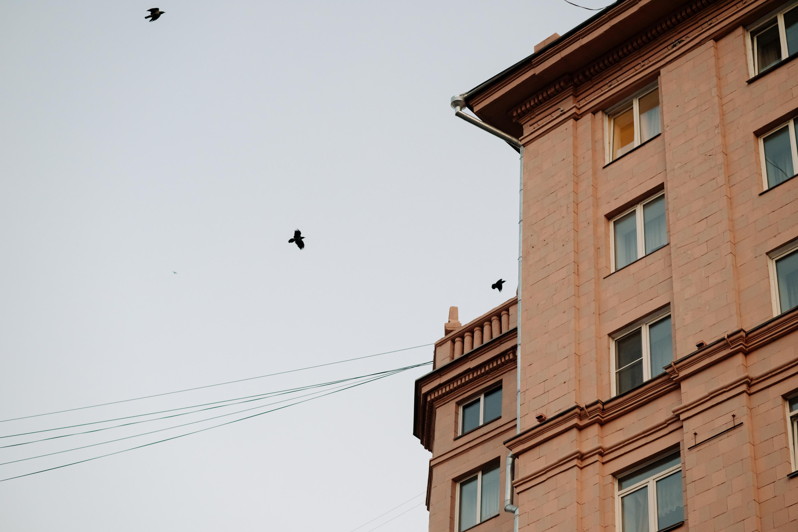 Ночной город. Свадебный и сеейный фотограф в Санкт-Петербурге Елена Худякова