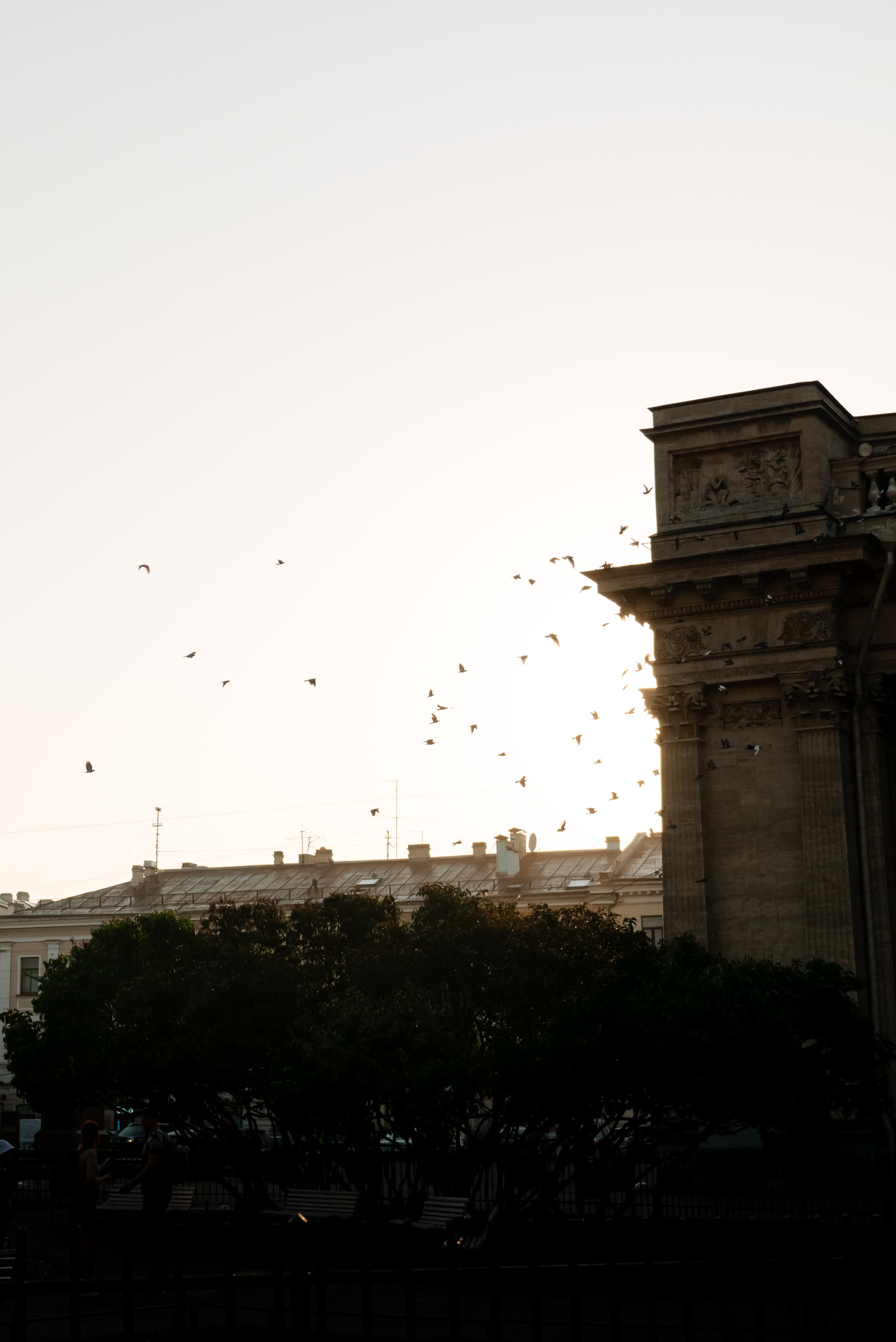 Даша и Даня. Питер утром. Свадебный и сеейный фотограф в Санкт-Петербурге Елена Худякова
